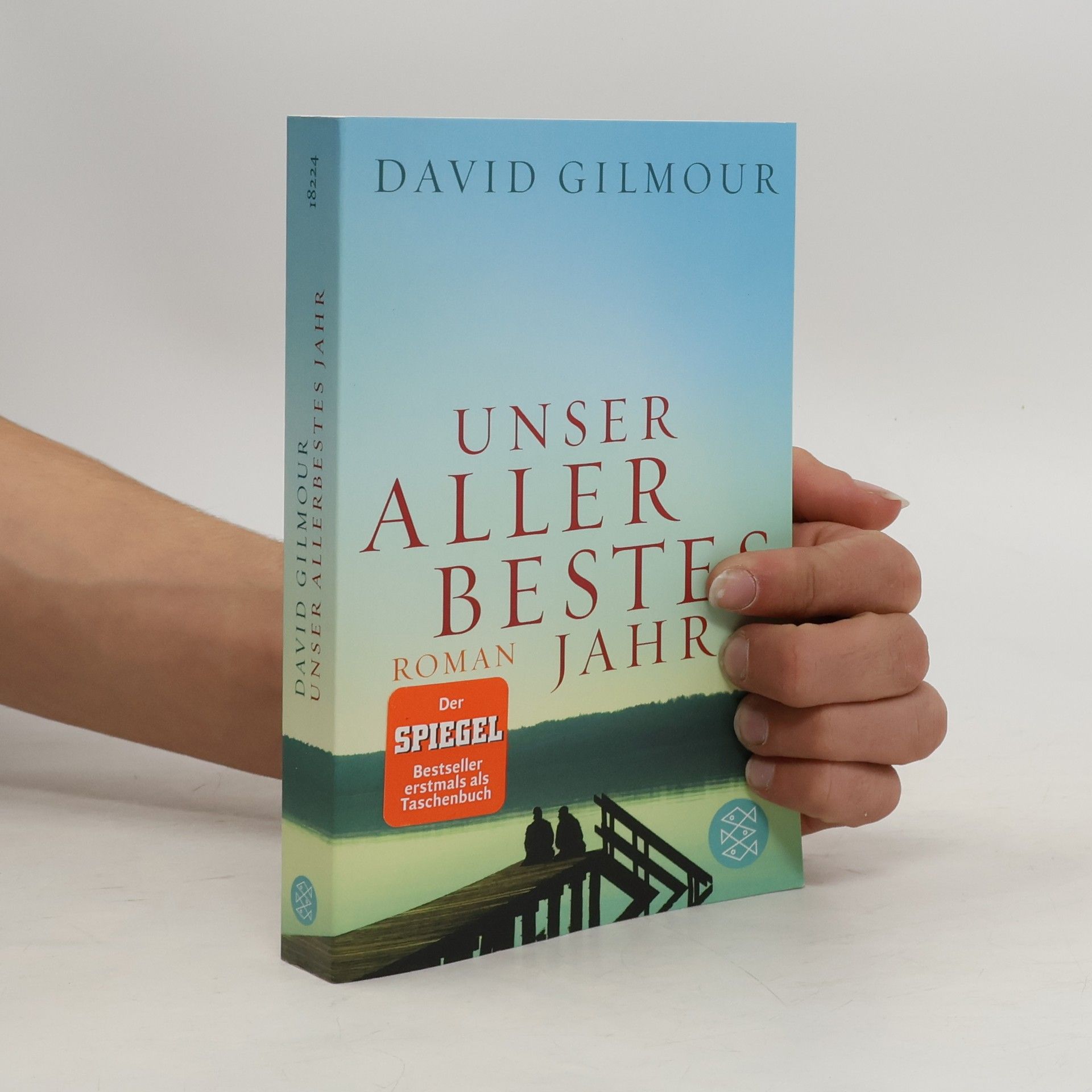 David Gilmour Unser allerbestes Jahr