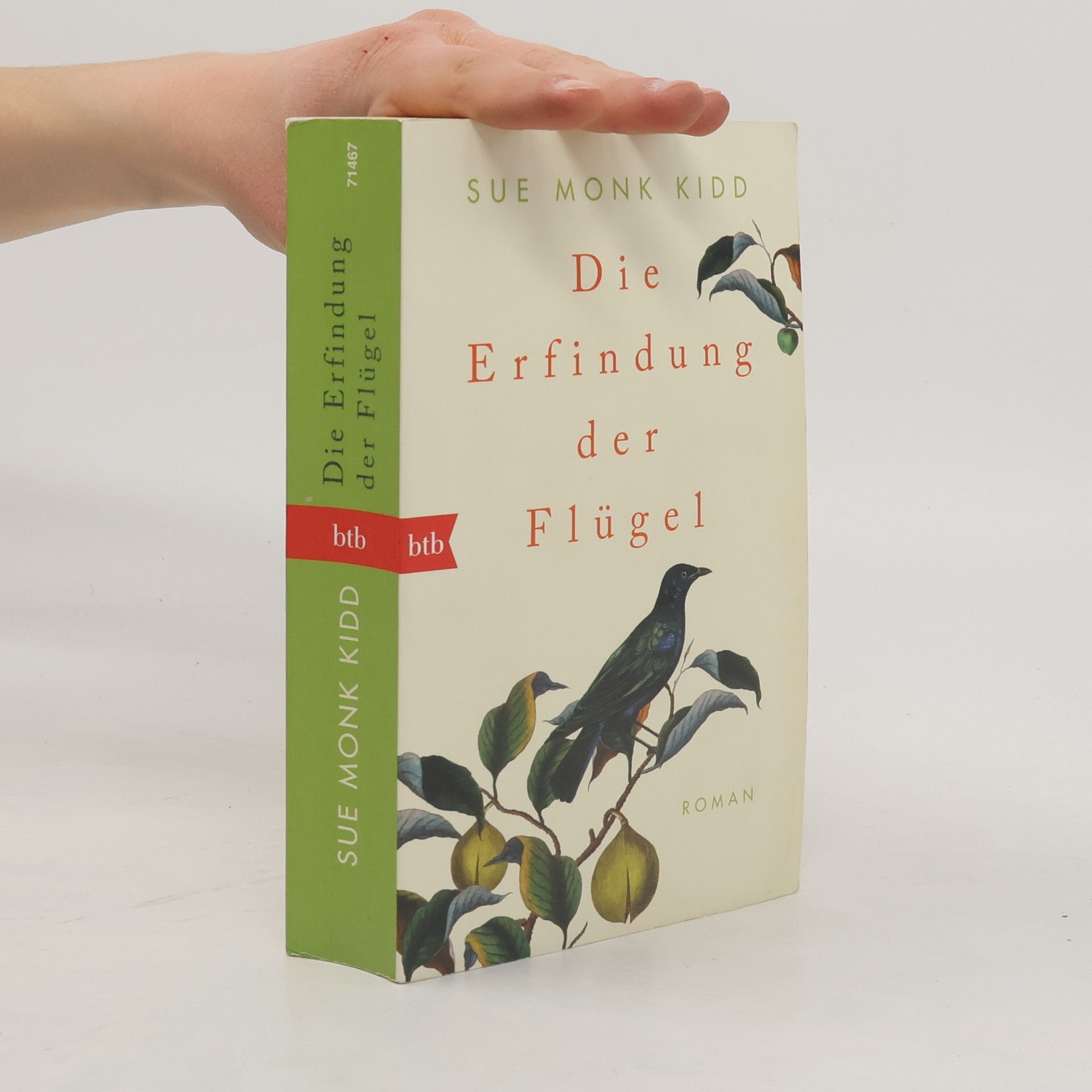 Sue Monk Kidd Die Erfindung der Flügel