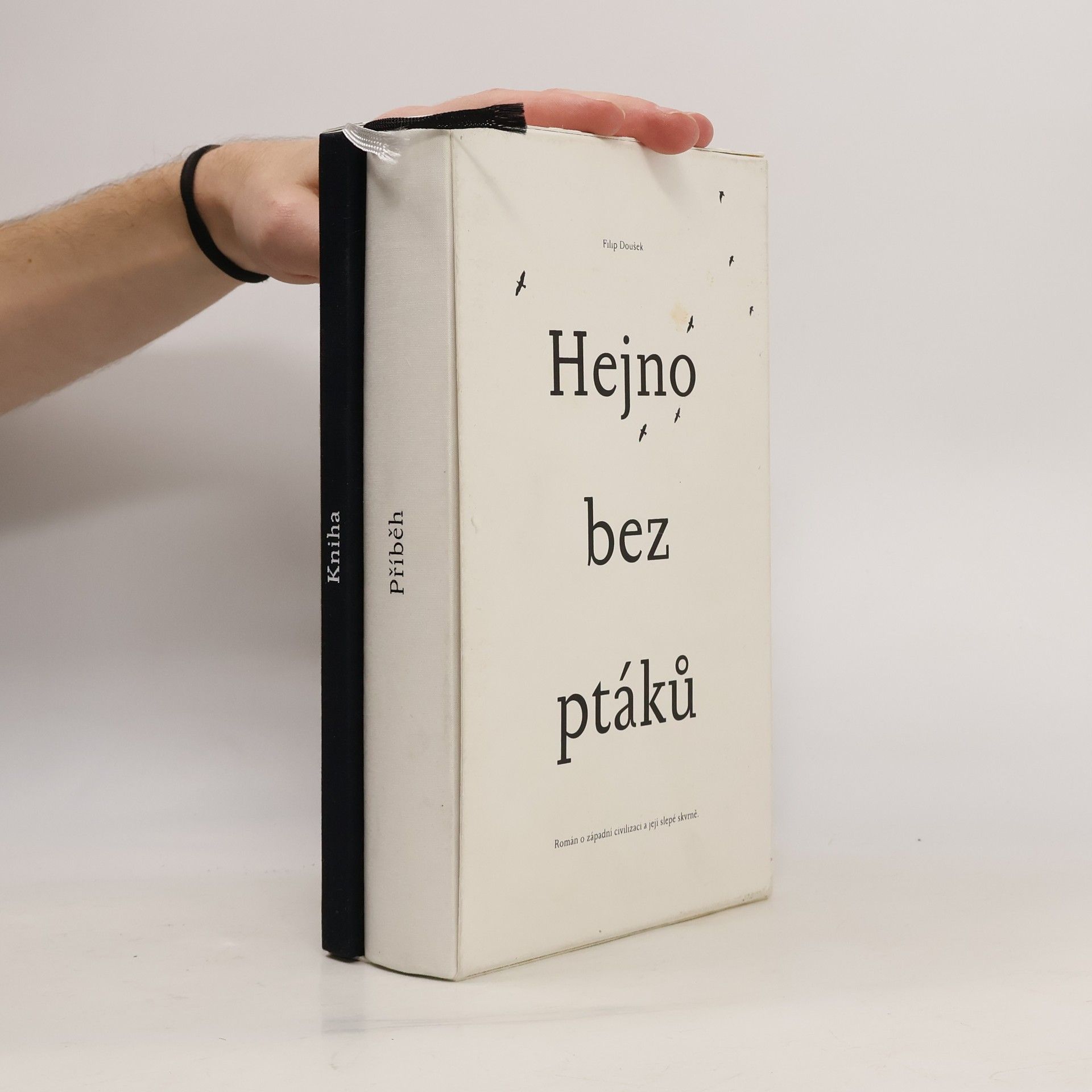 Filip Doušek Hejno bez ptáků