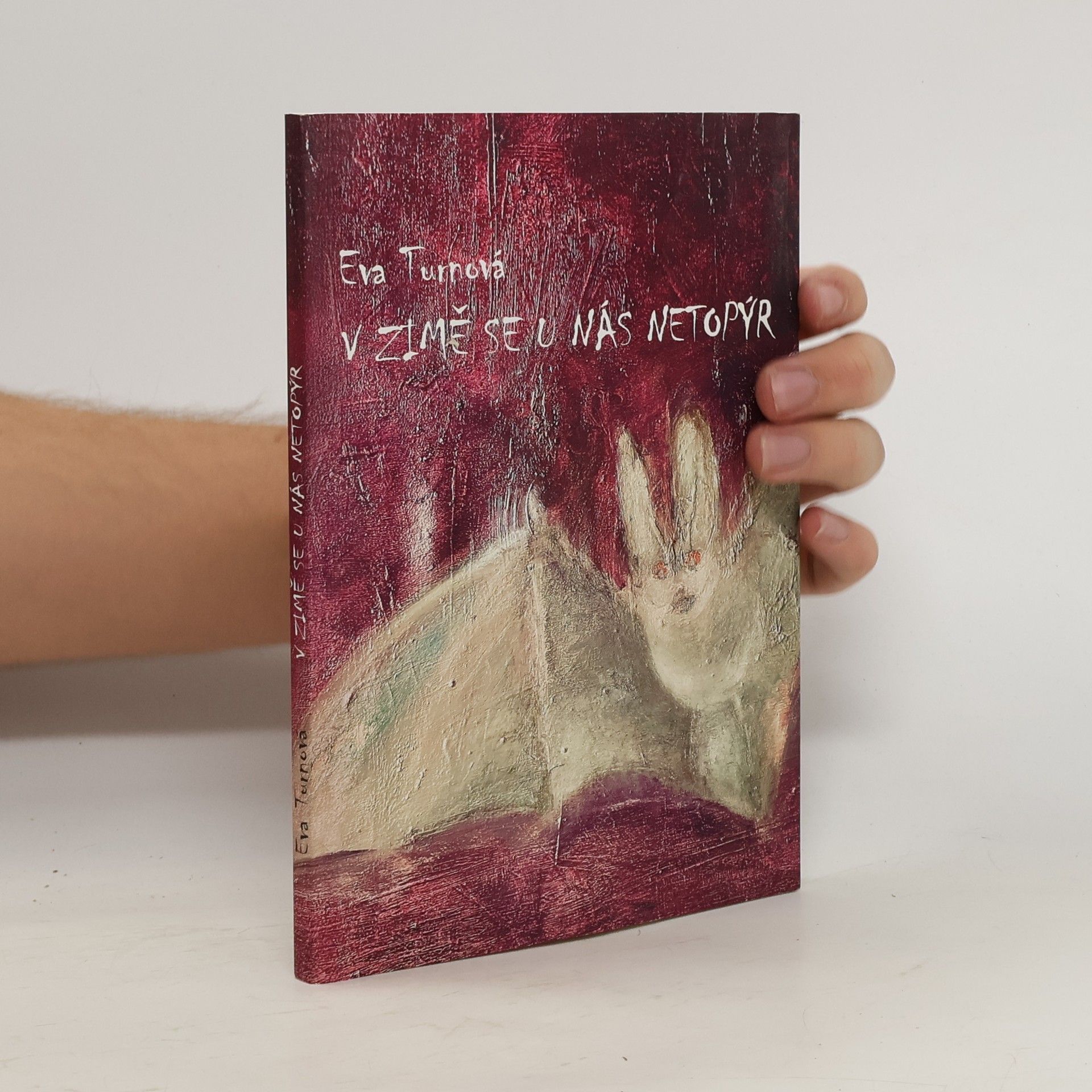 Eva Turnová V zimě se u nás netopýr