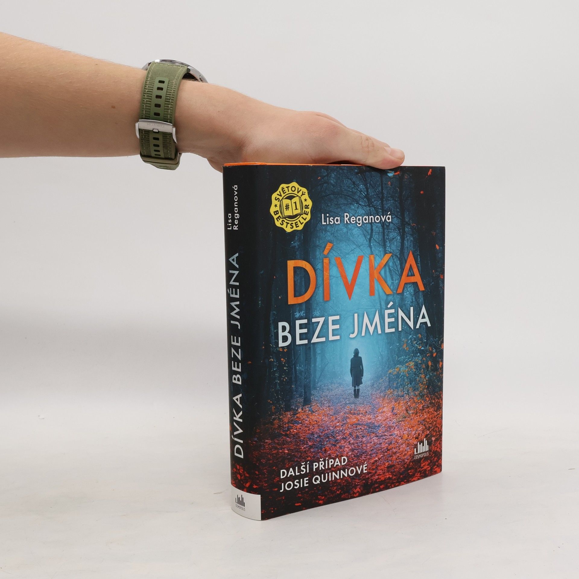 Lisa Regan Dívka beze jména: Další případ Josie Quinnové