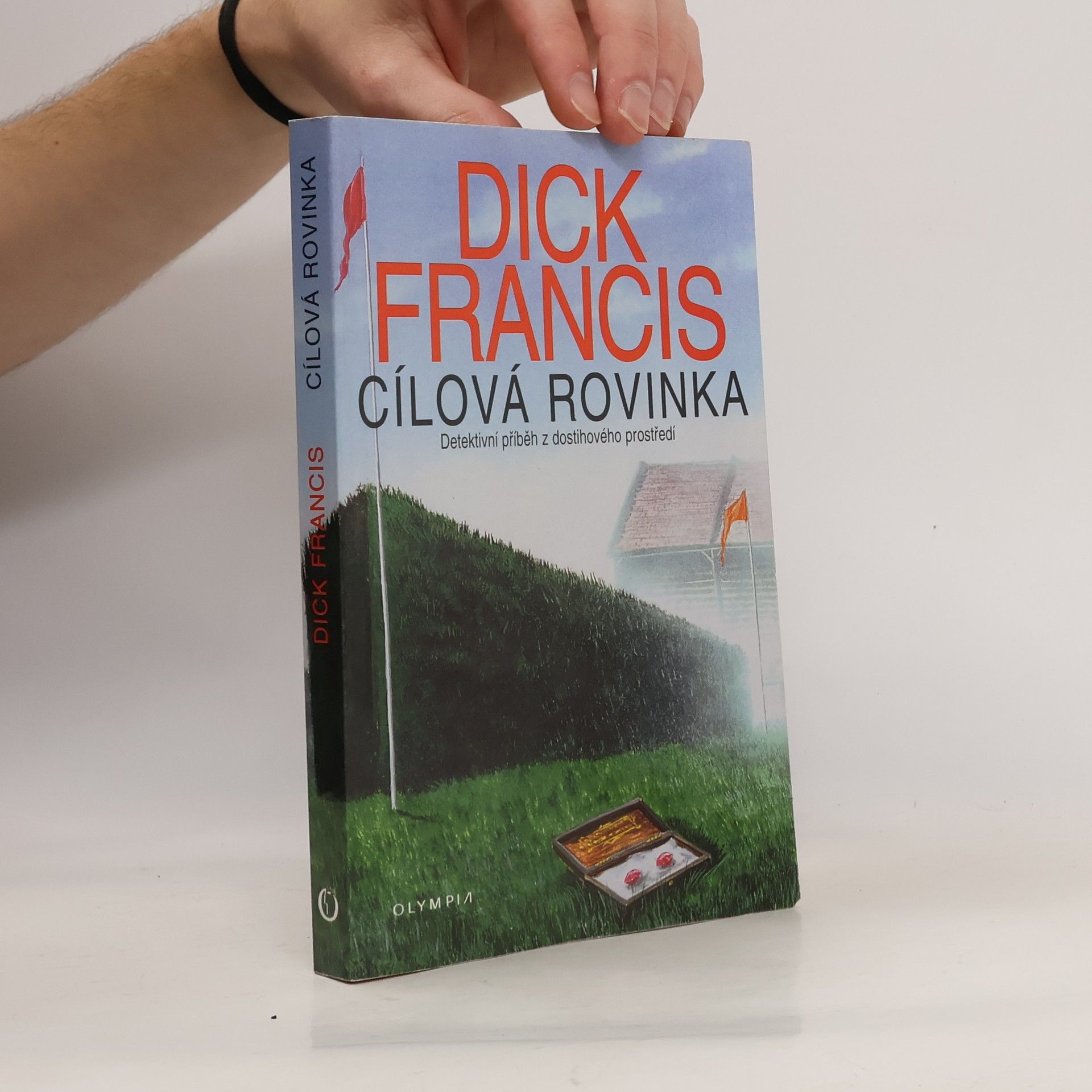 Dick Francis Cílová rovinka