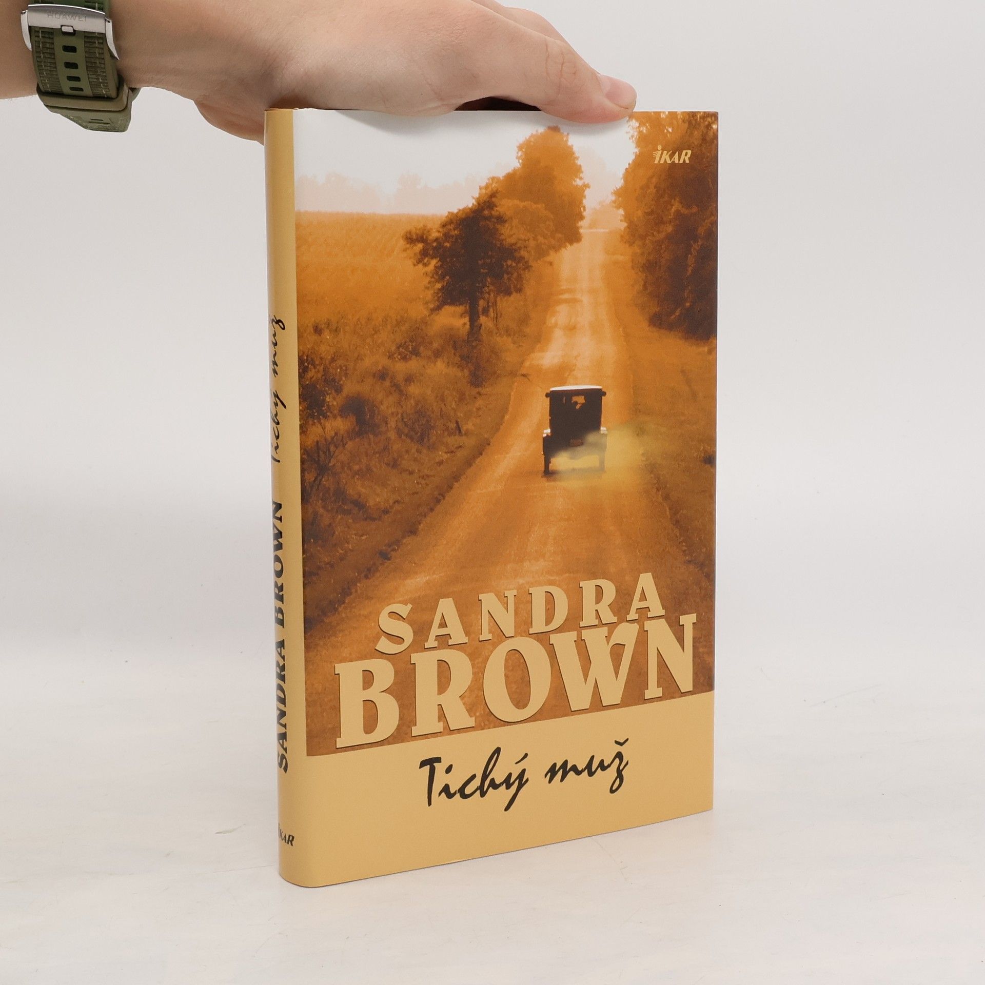 Sandra Brown Tichý muž