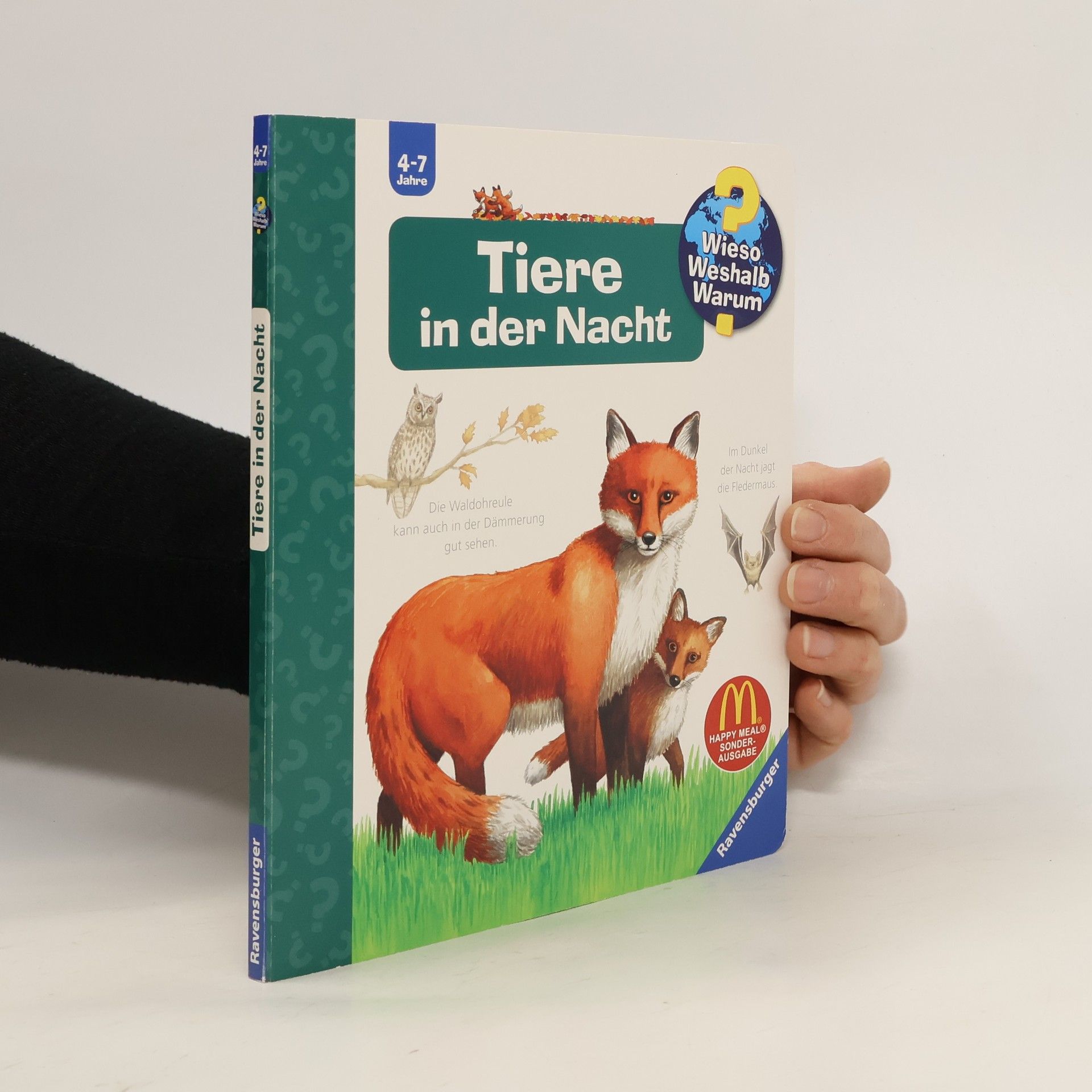 Anne Ebert Tiere in der Nacht