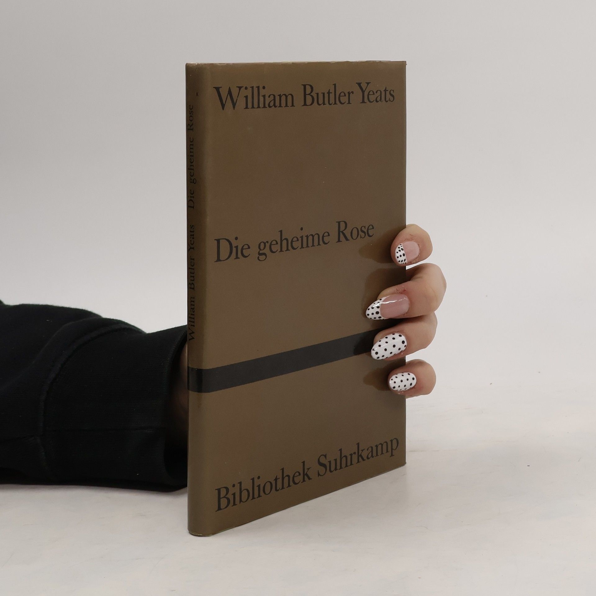 William Butler Yeats Die geheime Rose
