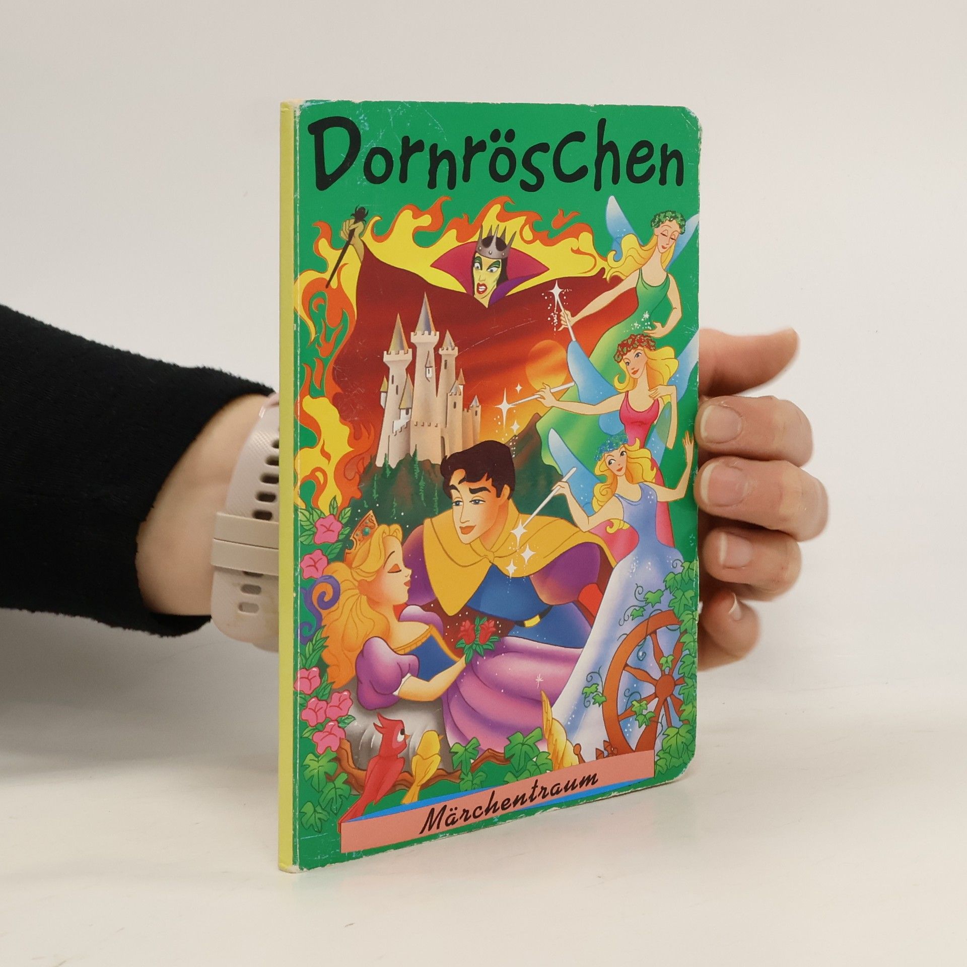 Auteurscollectief Dornröschen