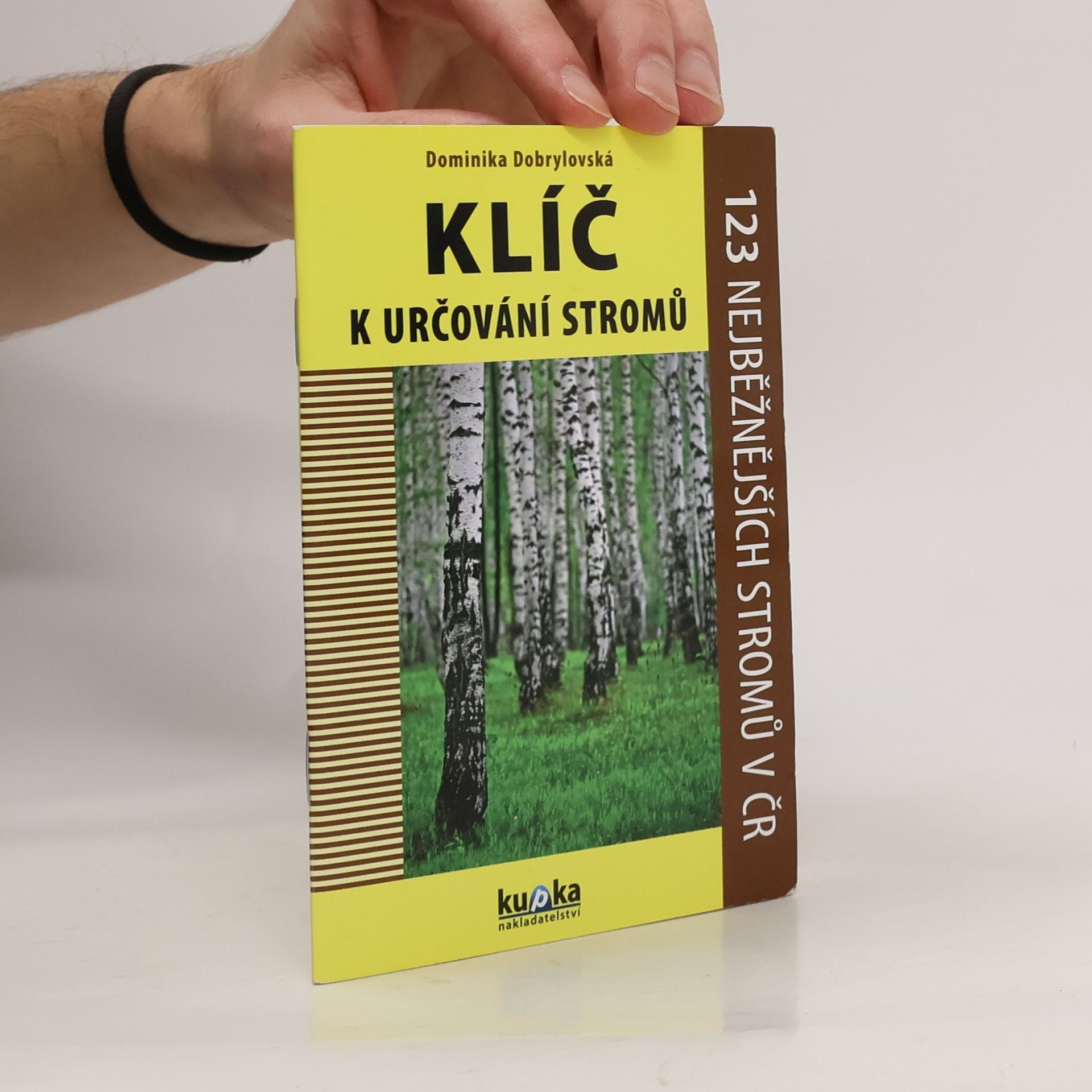 Dominika Dobrylovská Klíč k určování stromů