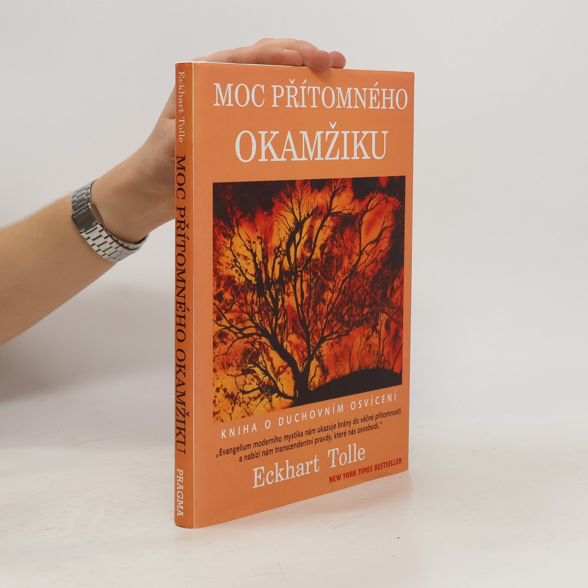 Eckhart Tolle Moc přítomného okamžiku