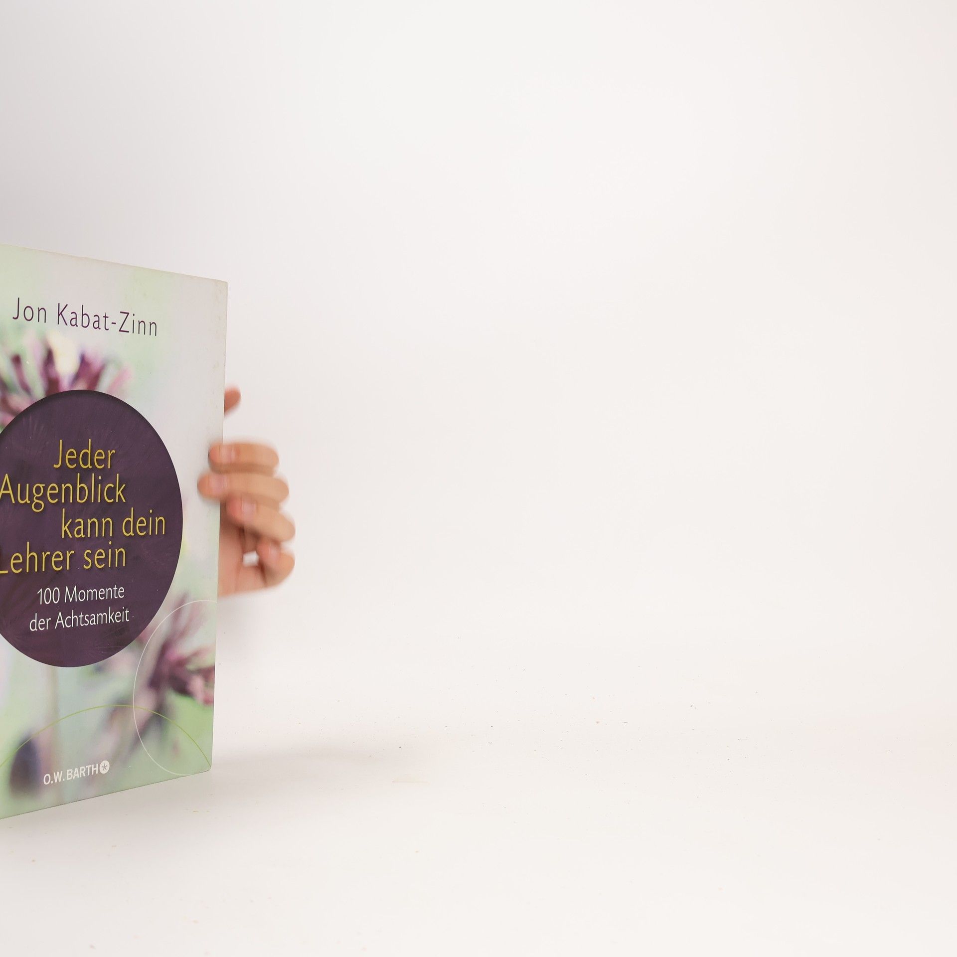 Jon Kabat Zinn Jeder Augenblick kann dein Lehrer sein