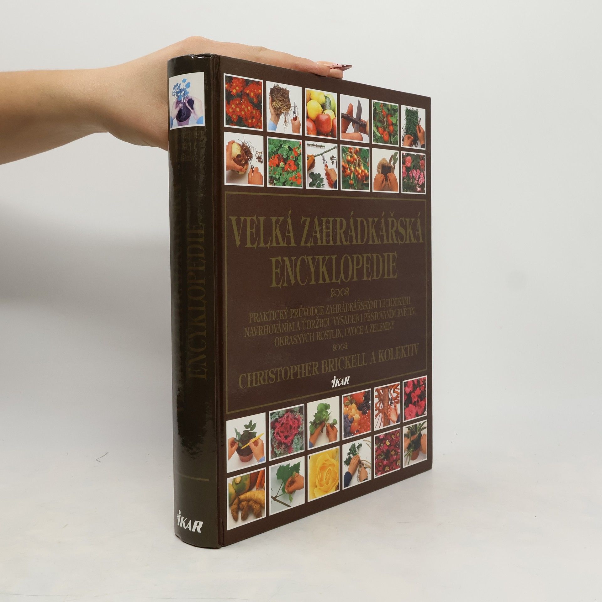 Kolektív autorov Velká zahrádkářská encyklopedie