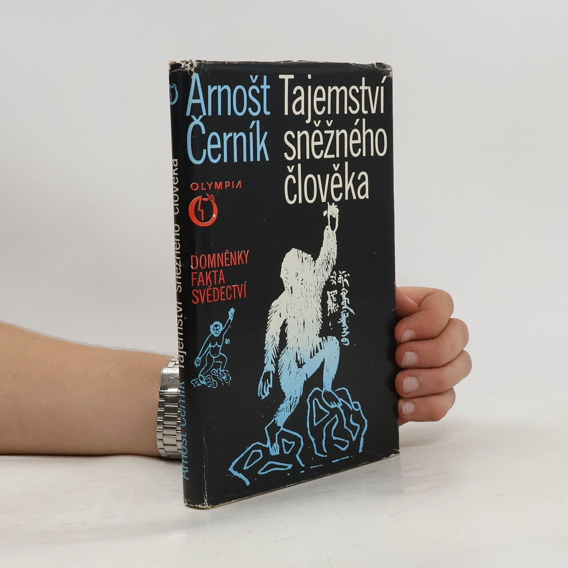 Arnošt Černík Tajemství sněžného člověka