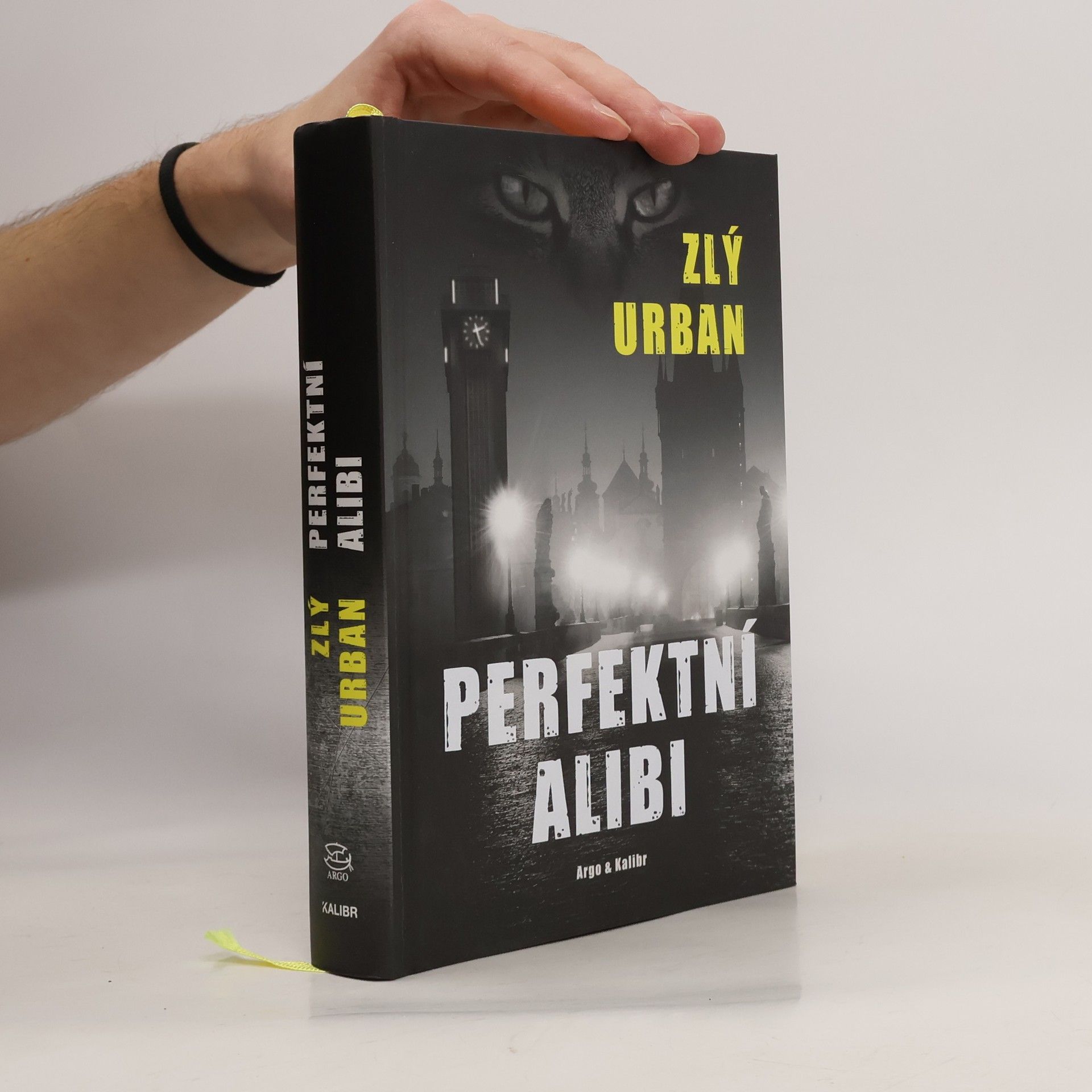 Perfektní alibi