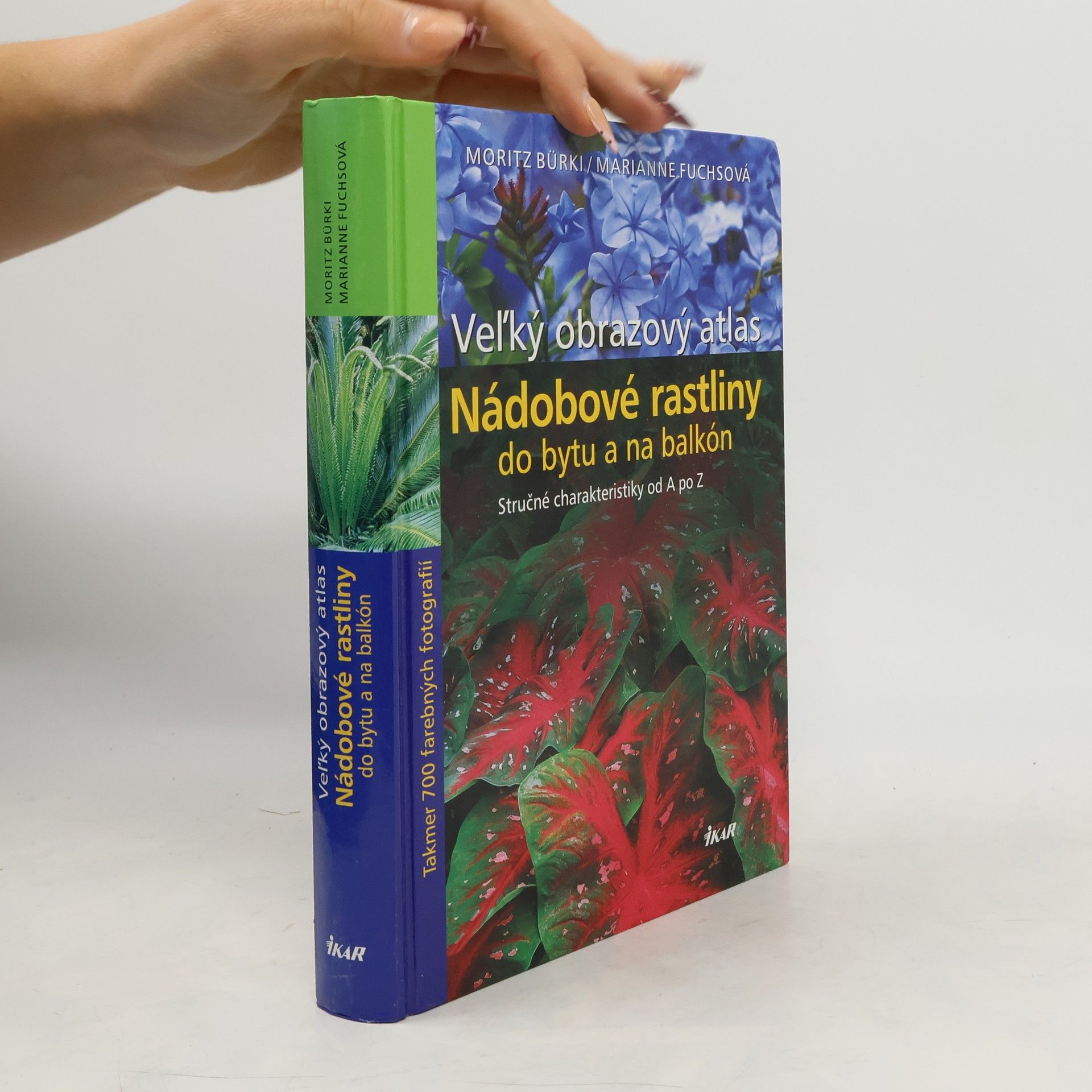 Nádobové rastliny do bytu a na balkón