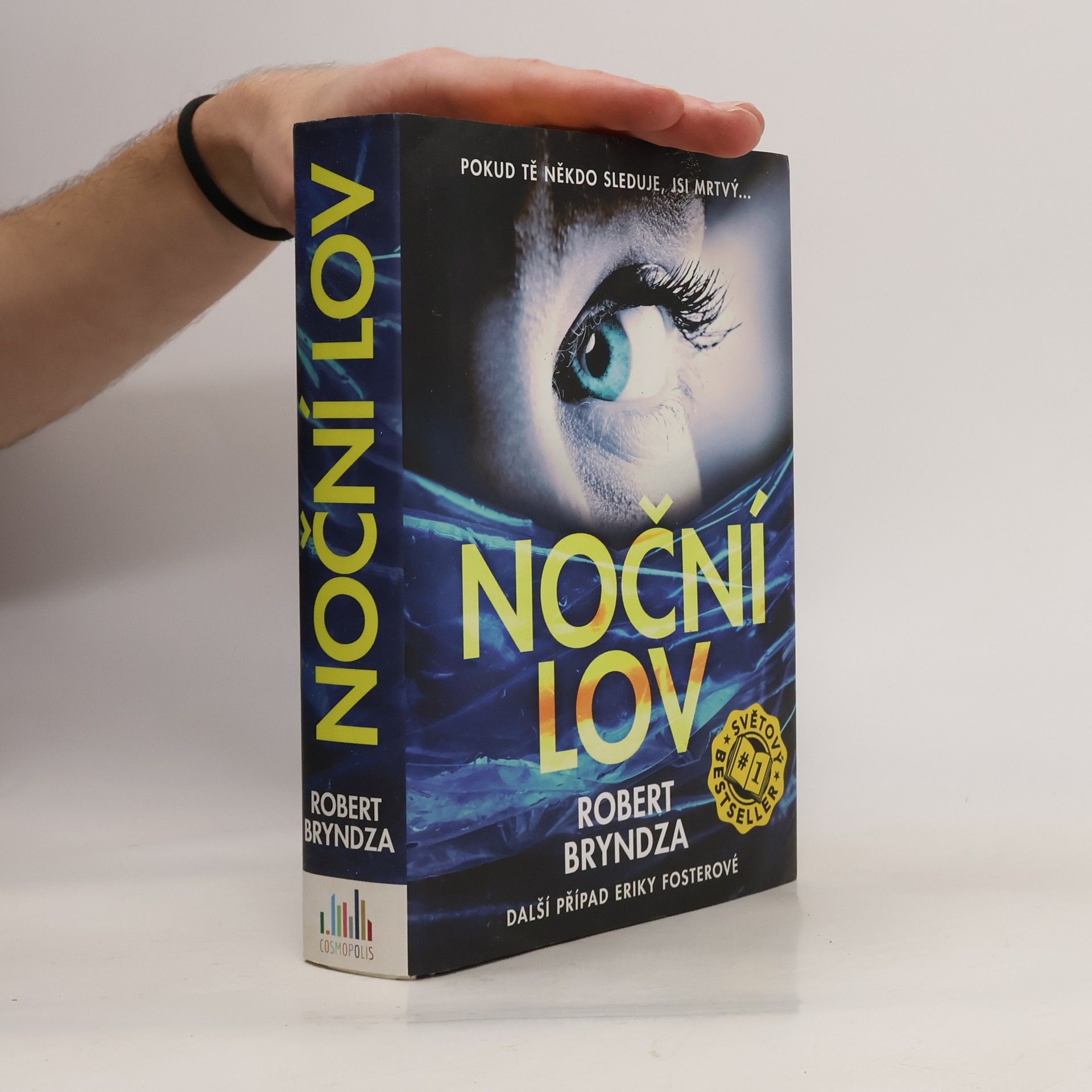 Robert Bryndza Noční lov