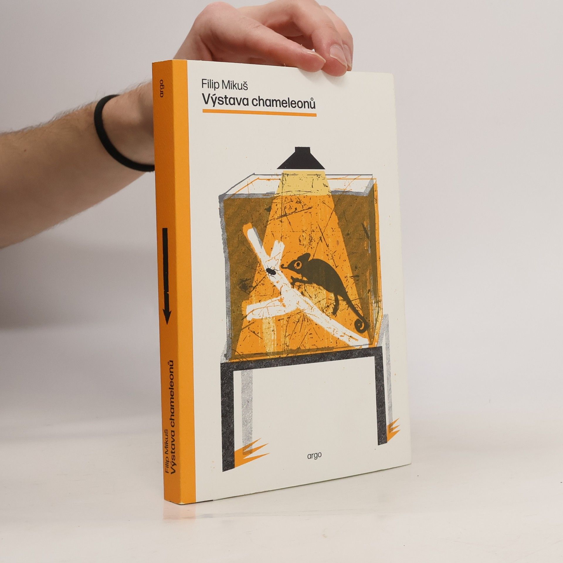 Výstava chameleonů