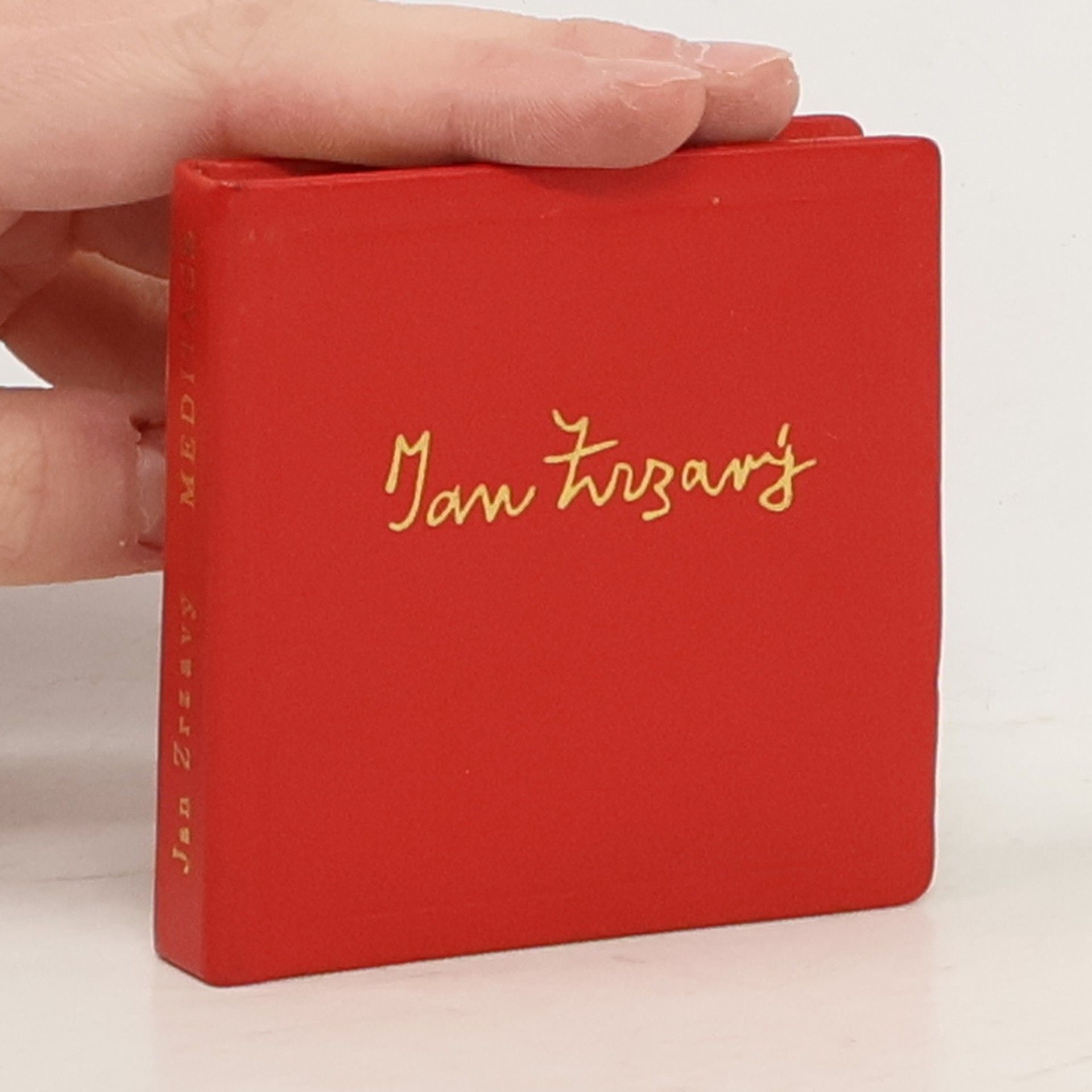 Jan Zrzavý Rozkoše, meditace a údolí smutku