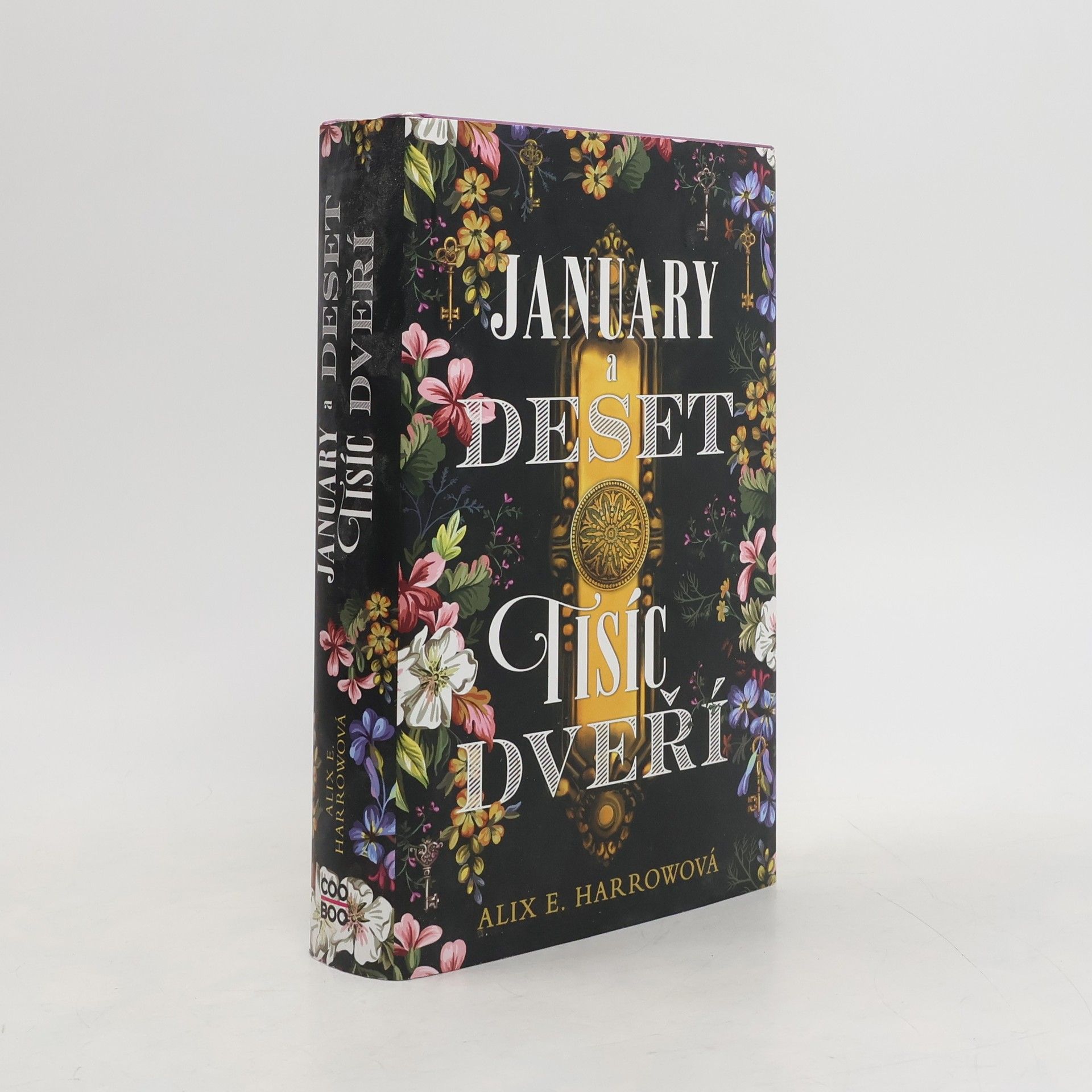 Alix E. Harrow January a Deset tisíc dveří