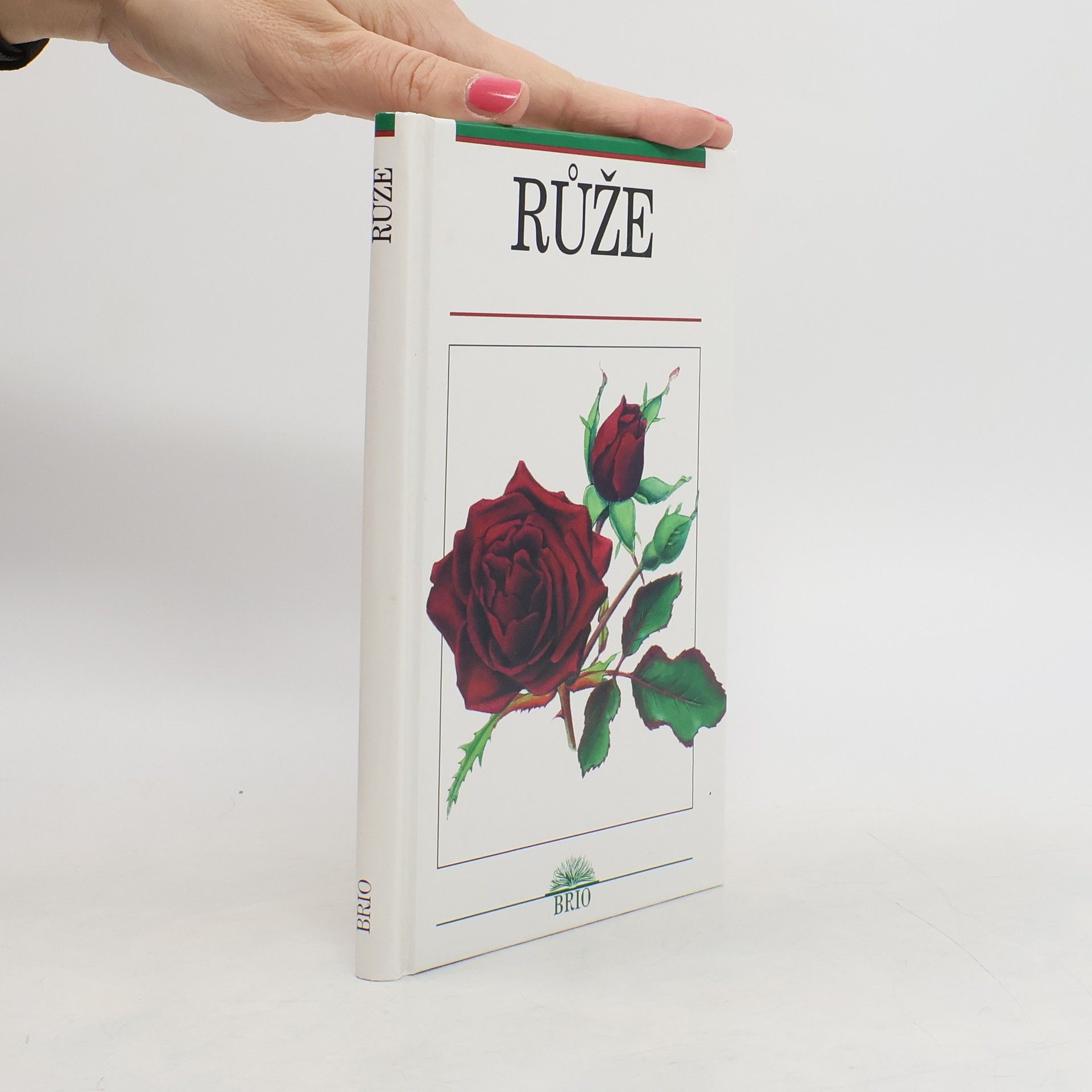 Václav Větvička Růže