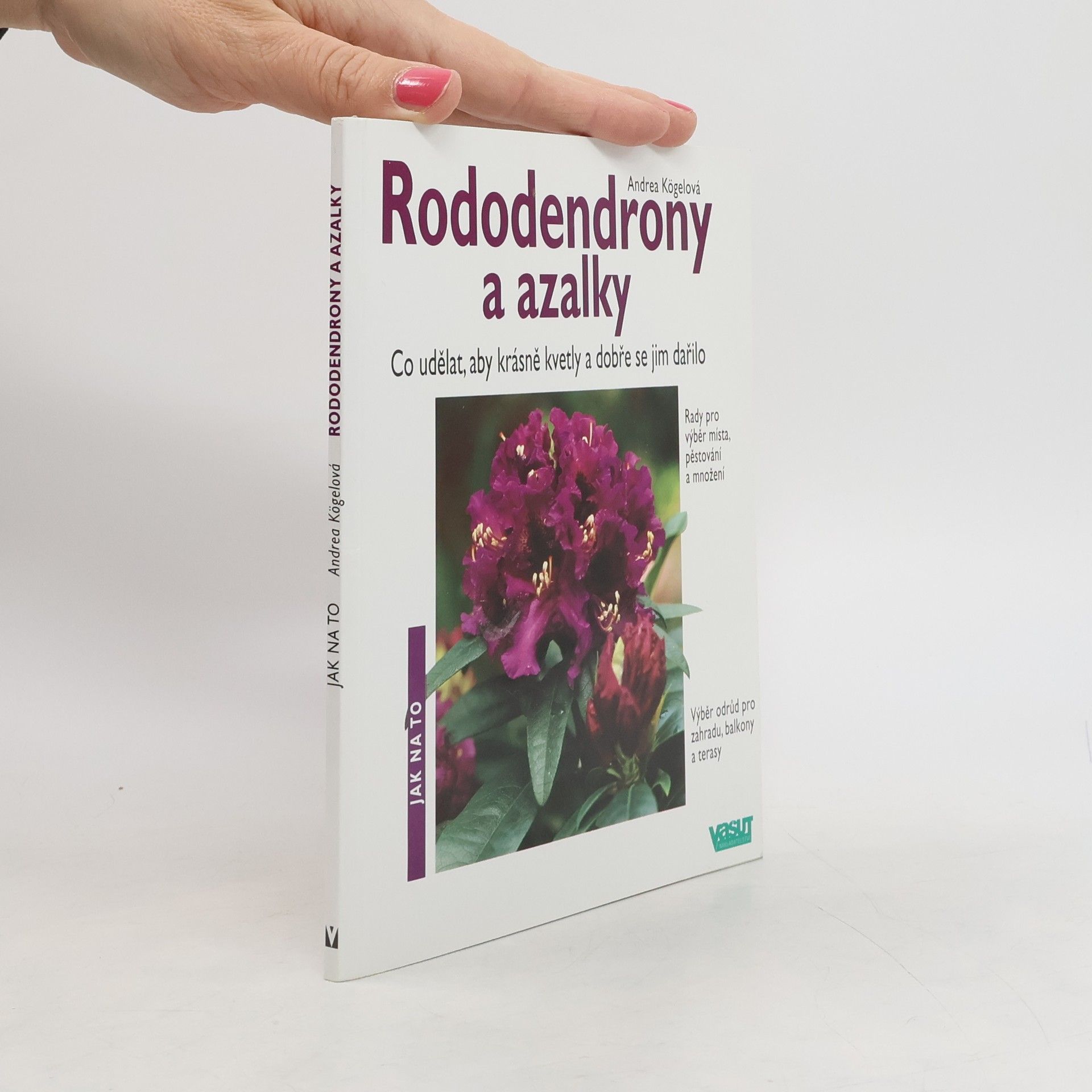 Andrea Kögel Rododendrony a azalky