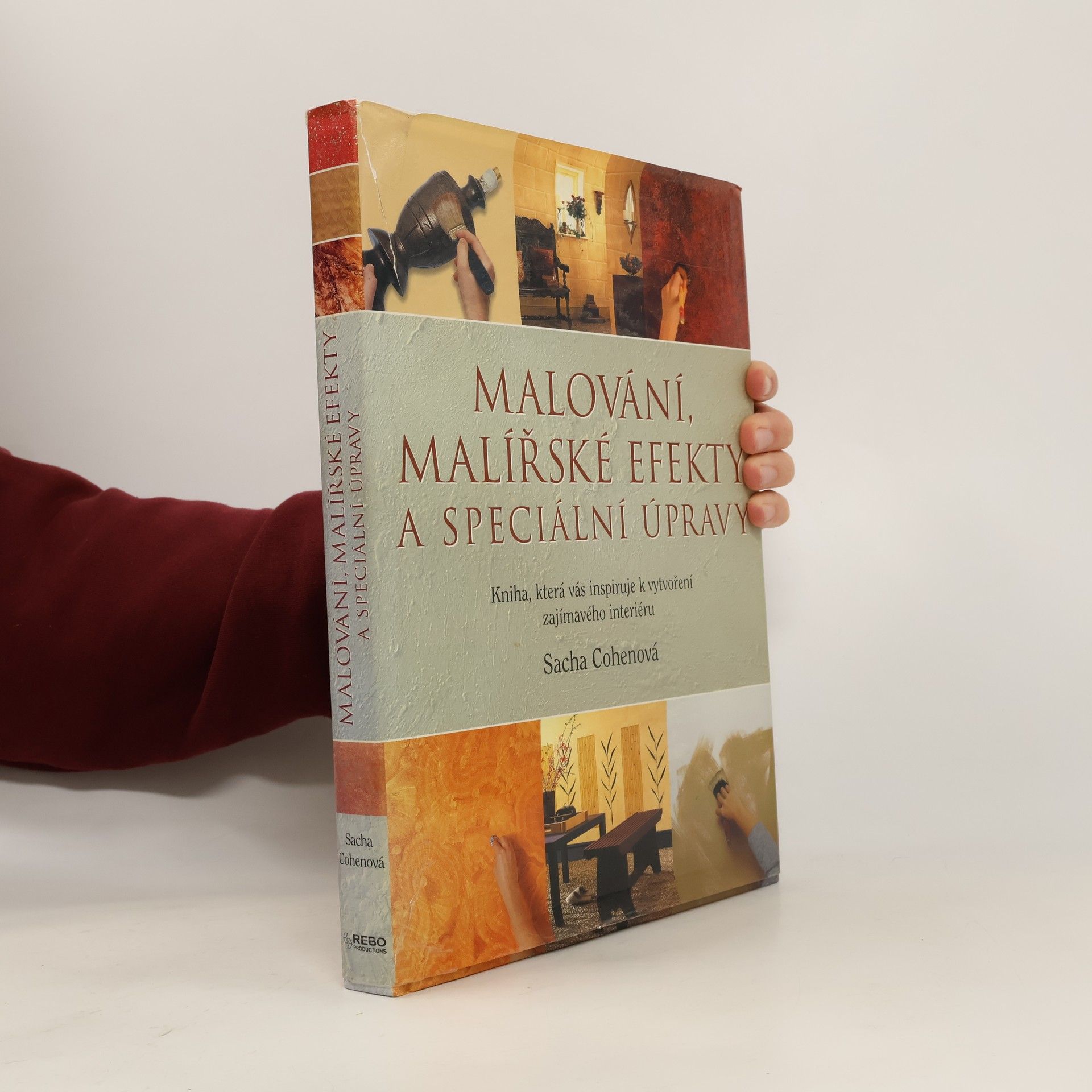 Sacha Cohen Malování, malířské efekty a speciální úpravy. Kniha, která vás inspiruje k vytvoření zajímavého interiéru