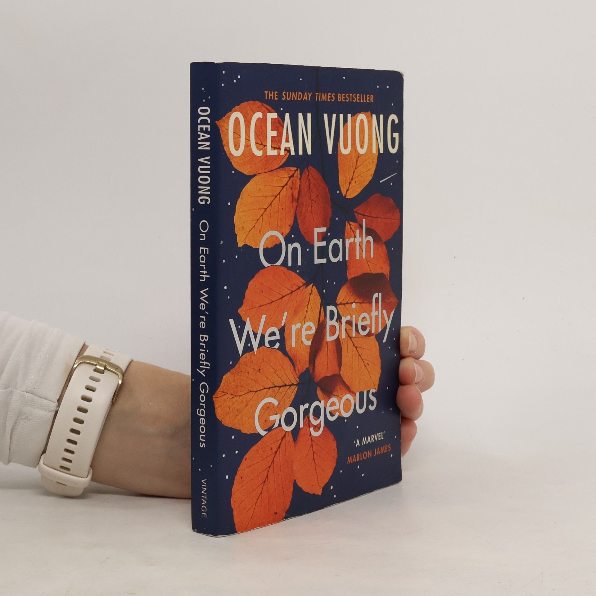 Ocean Vuong On Earth We're Briefly Gorgeous