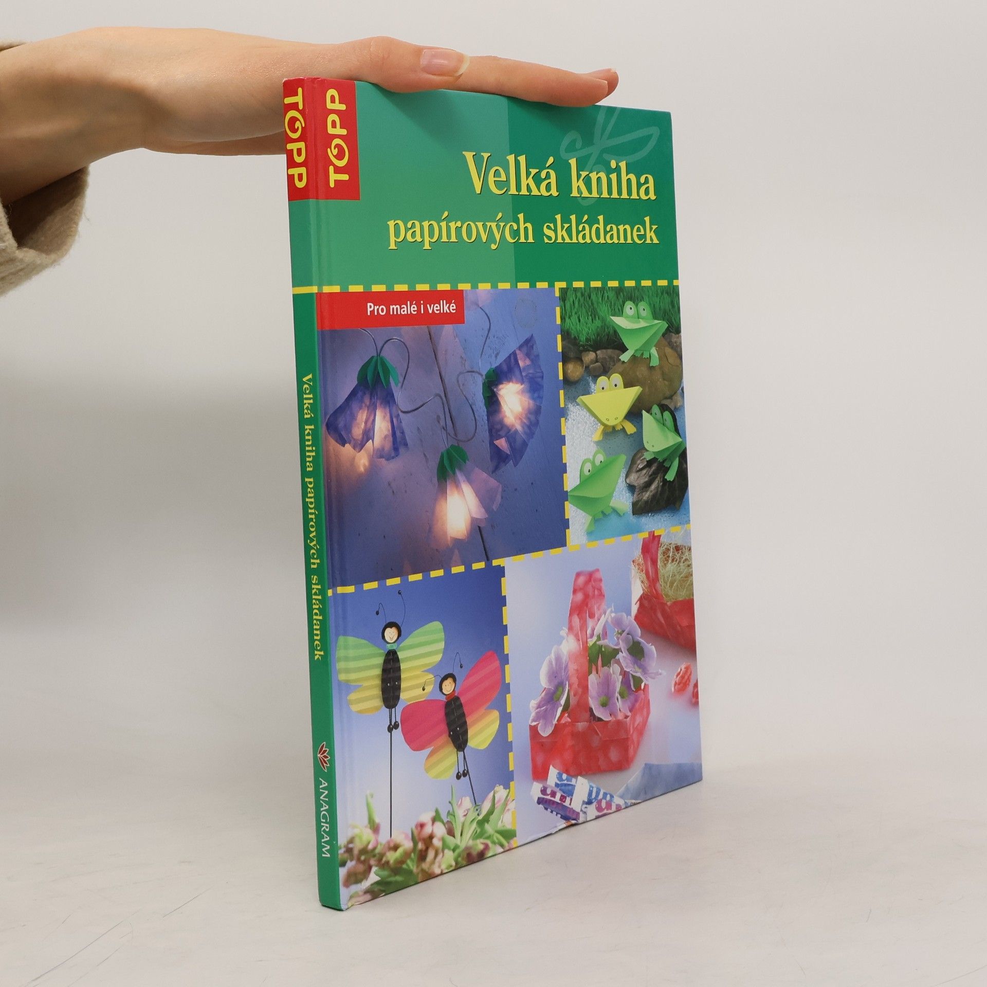 Daniel Täubner Velká kniha papírových skládanek. Pro malé i velké