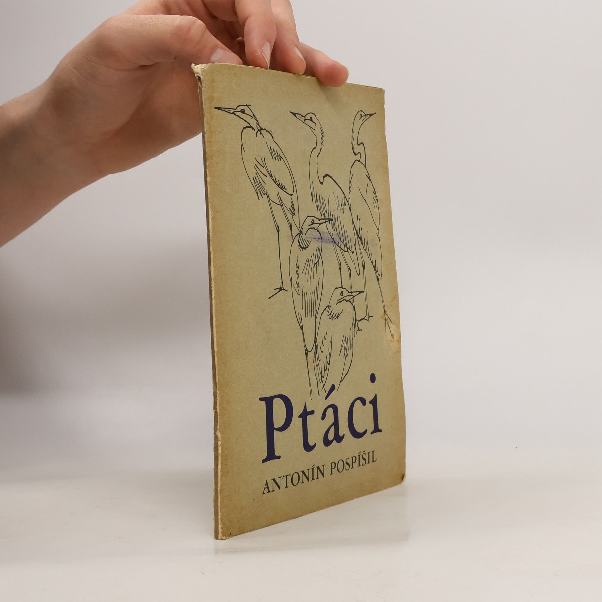 Antonín Pospíšil Ptáci