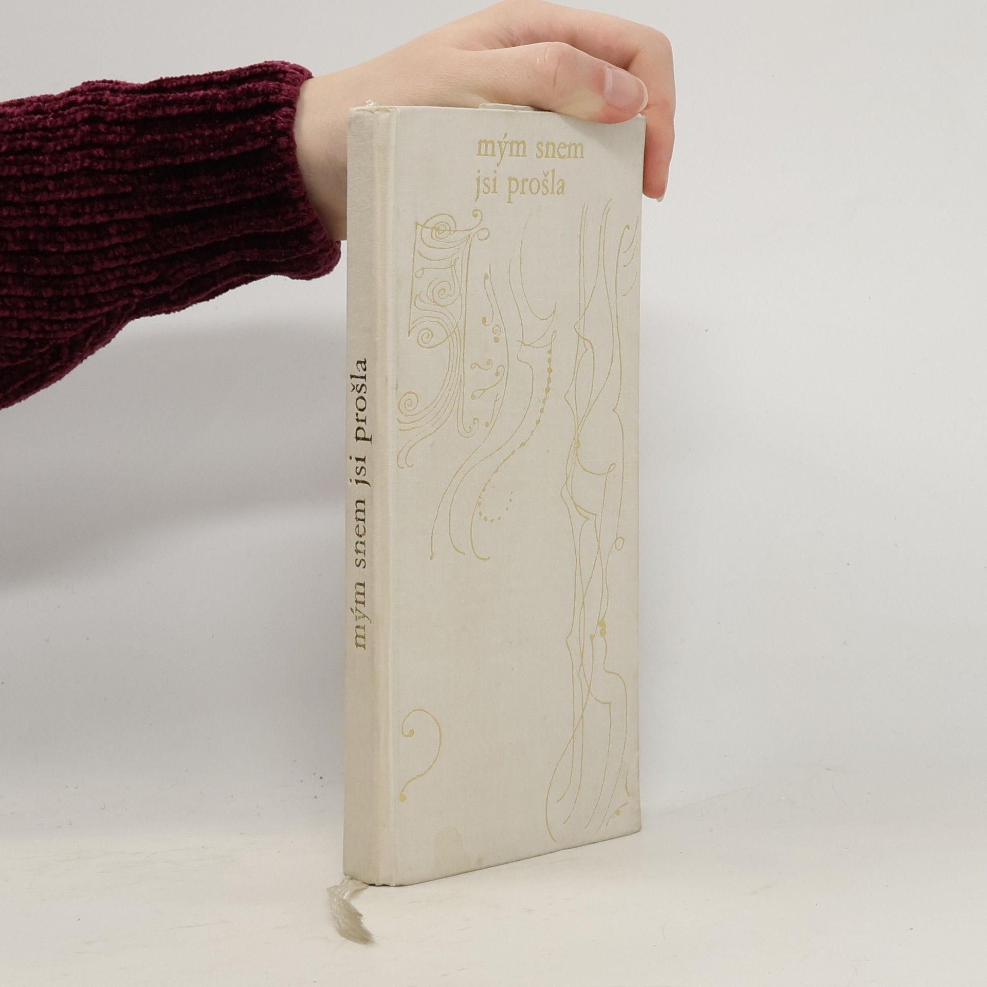 Ota Janeček Mým snem jsi prošla