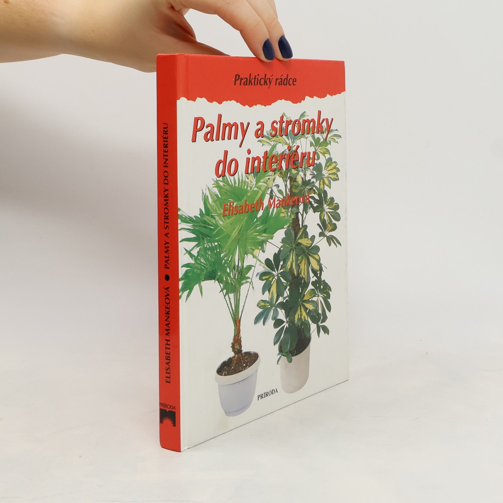 Elisabeth Manke Palmy a stromky do interiéru