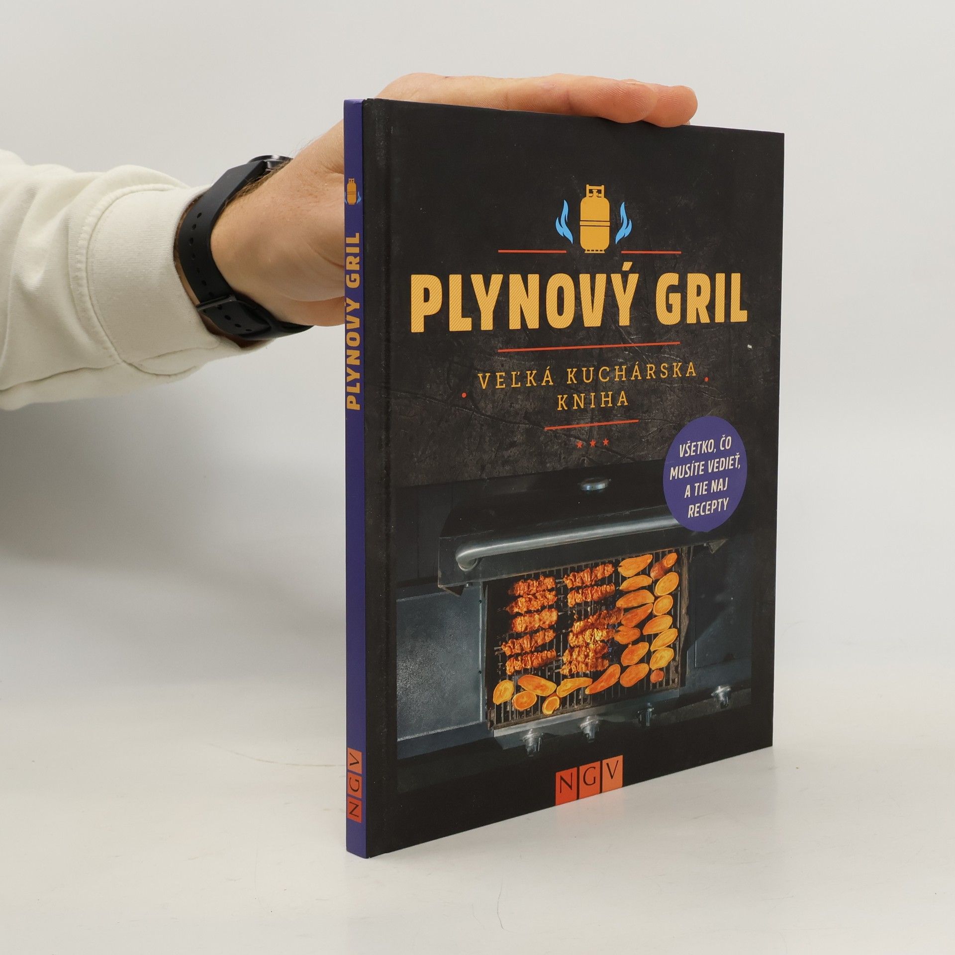 Collectif d'auteurs Jak grilovat na plynovém grilu