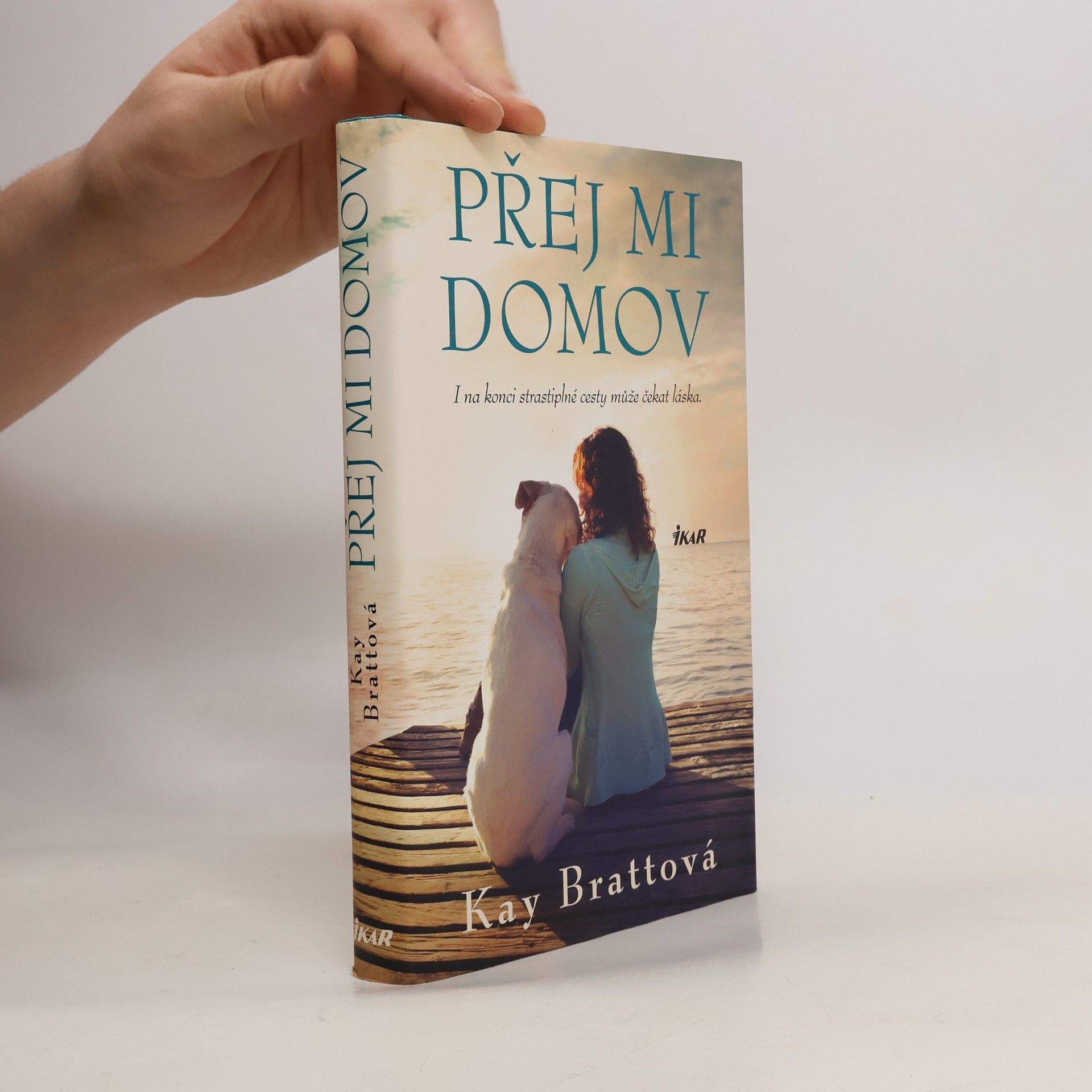 Kay Bratt Přej mi domov