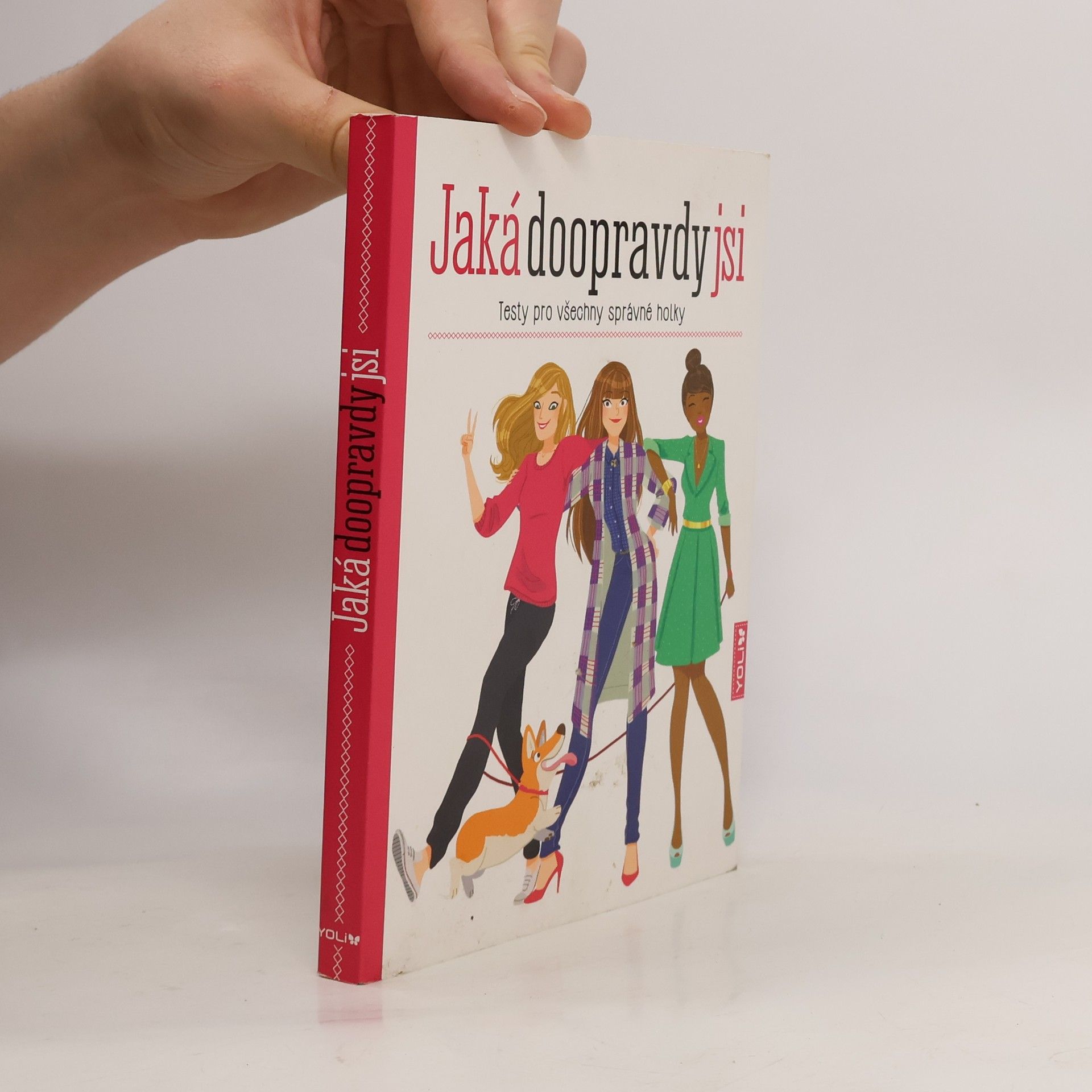 Anne-Sophie Jouhanneau Jaká doopravdy jsi: Testy pro všechny správné holky