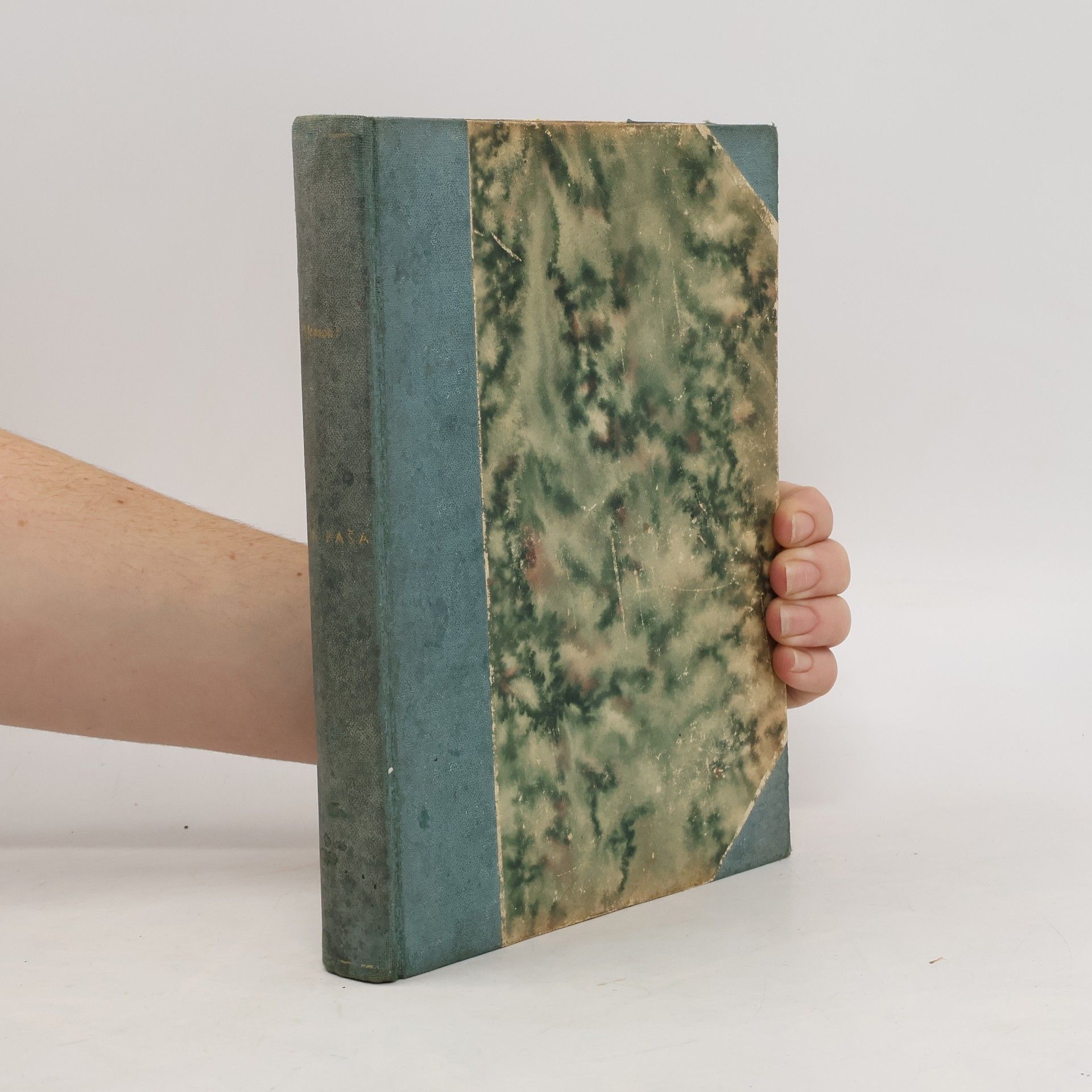 Emin Paša a vzpoura v Aequatorii - vypravování o devítiměsíčných zkušenostech v poslední z provincií sudanských