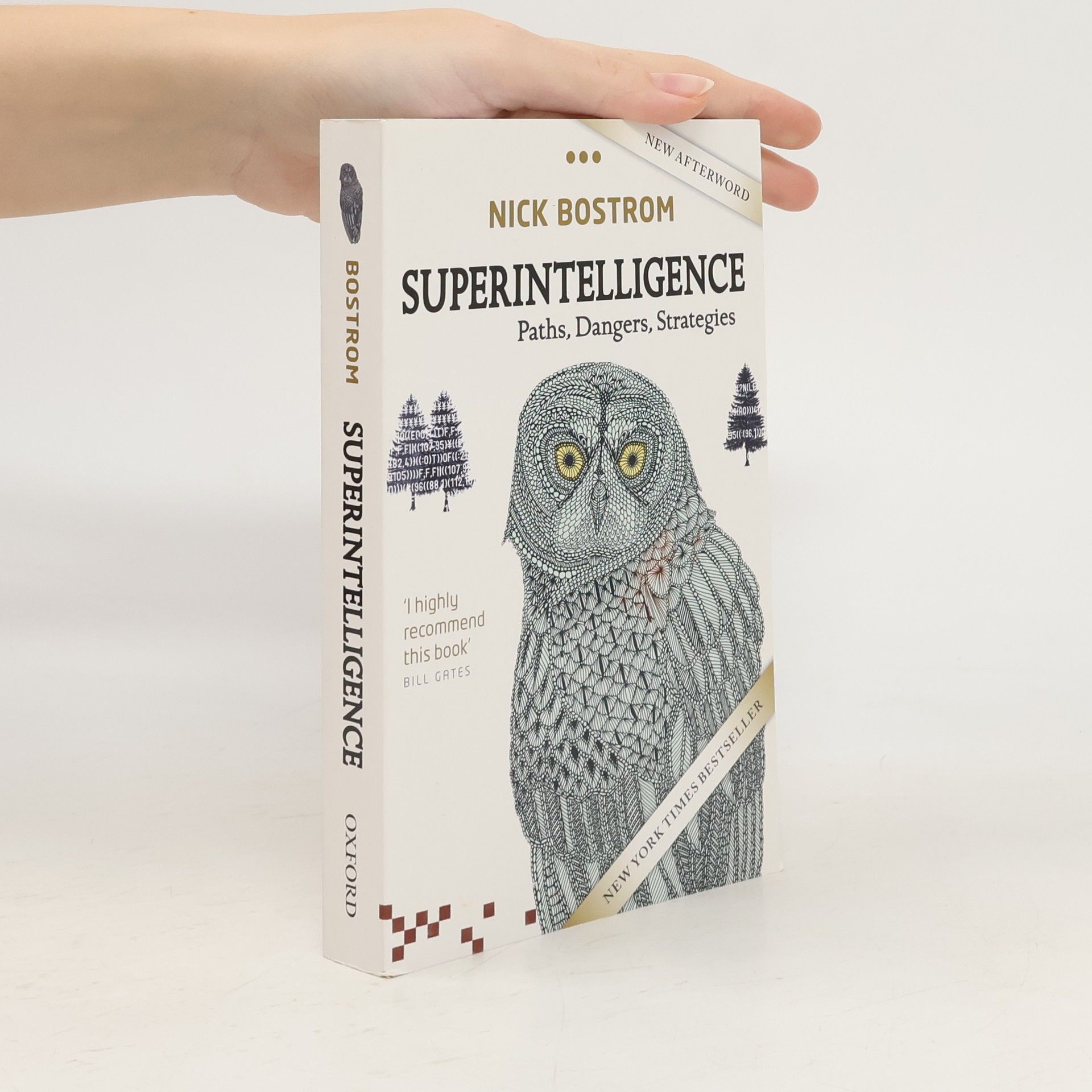 Nick Bostrom Superintelligence