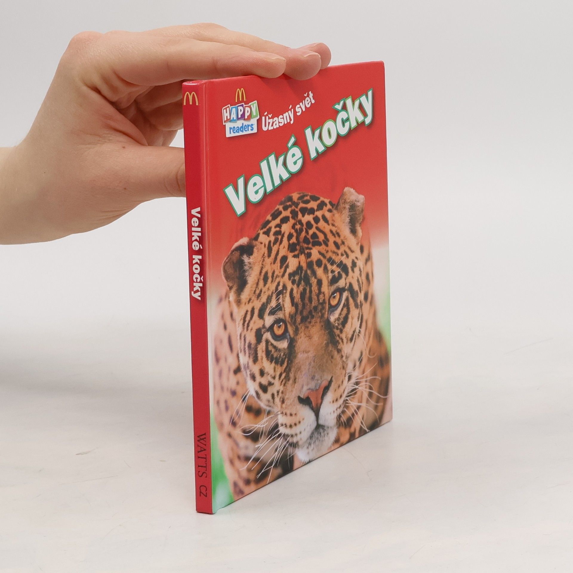 Kolektiv autorů Velké kočky