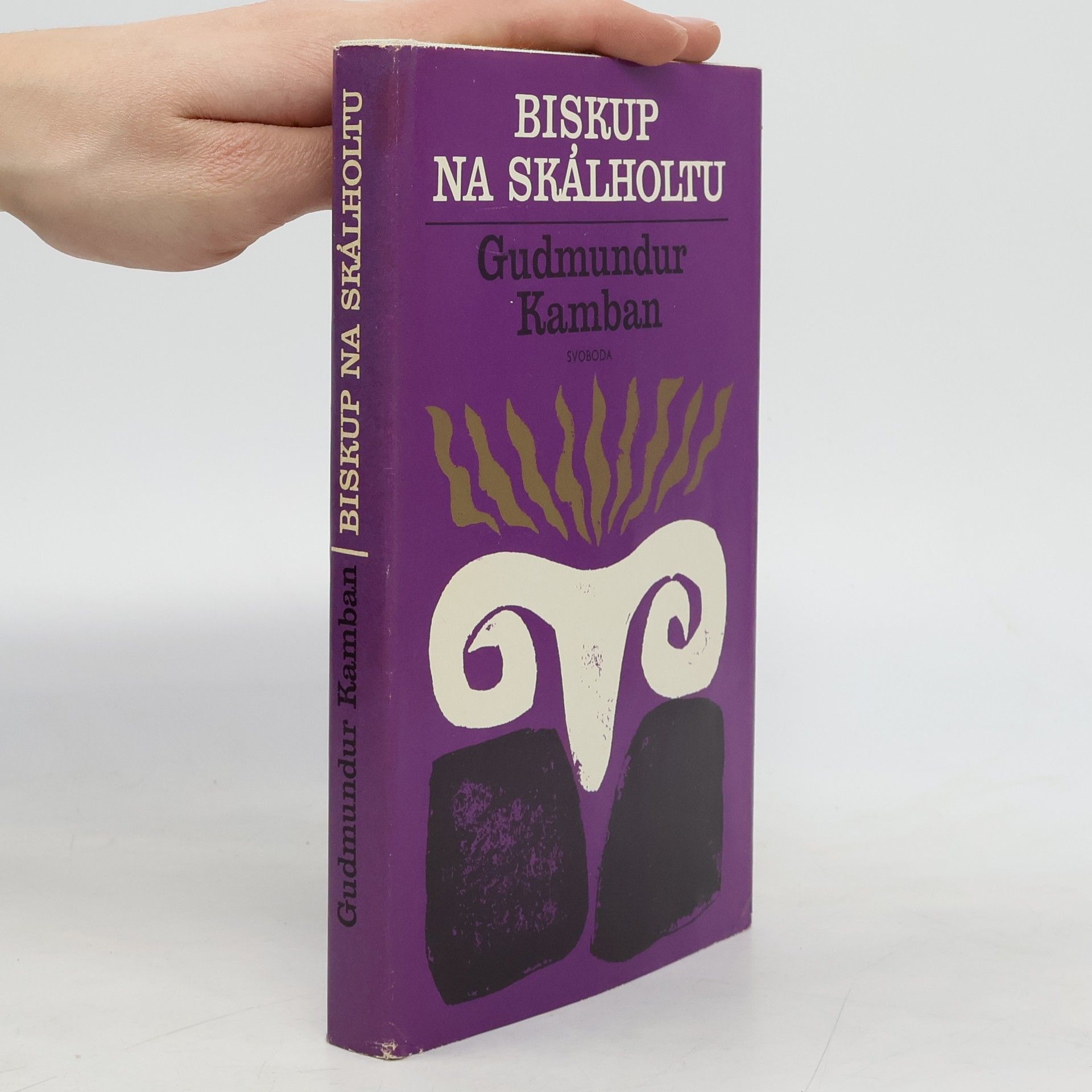 Biskup na Skálholtu