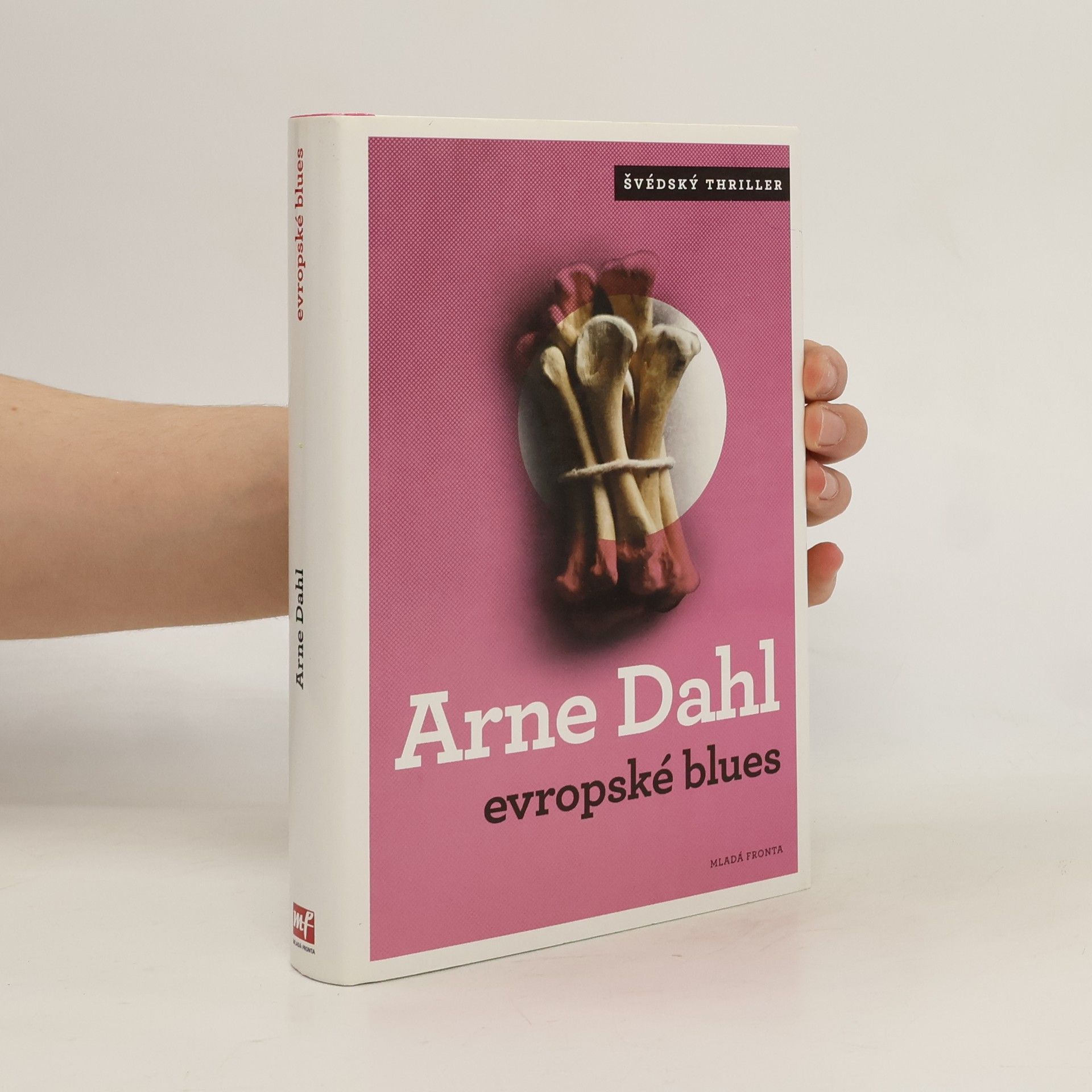 Arne Dahl Evropské blues