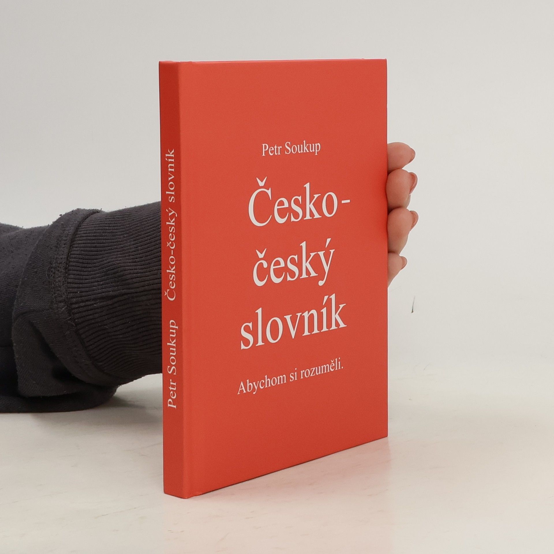 Česko-český slovník. Abychom si rozuměli