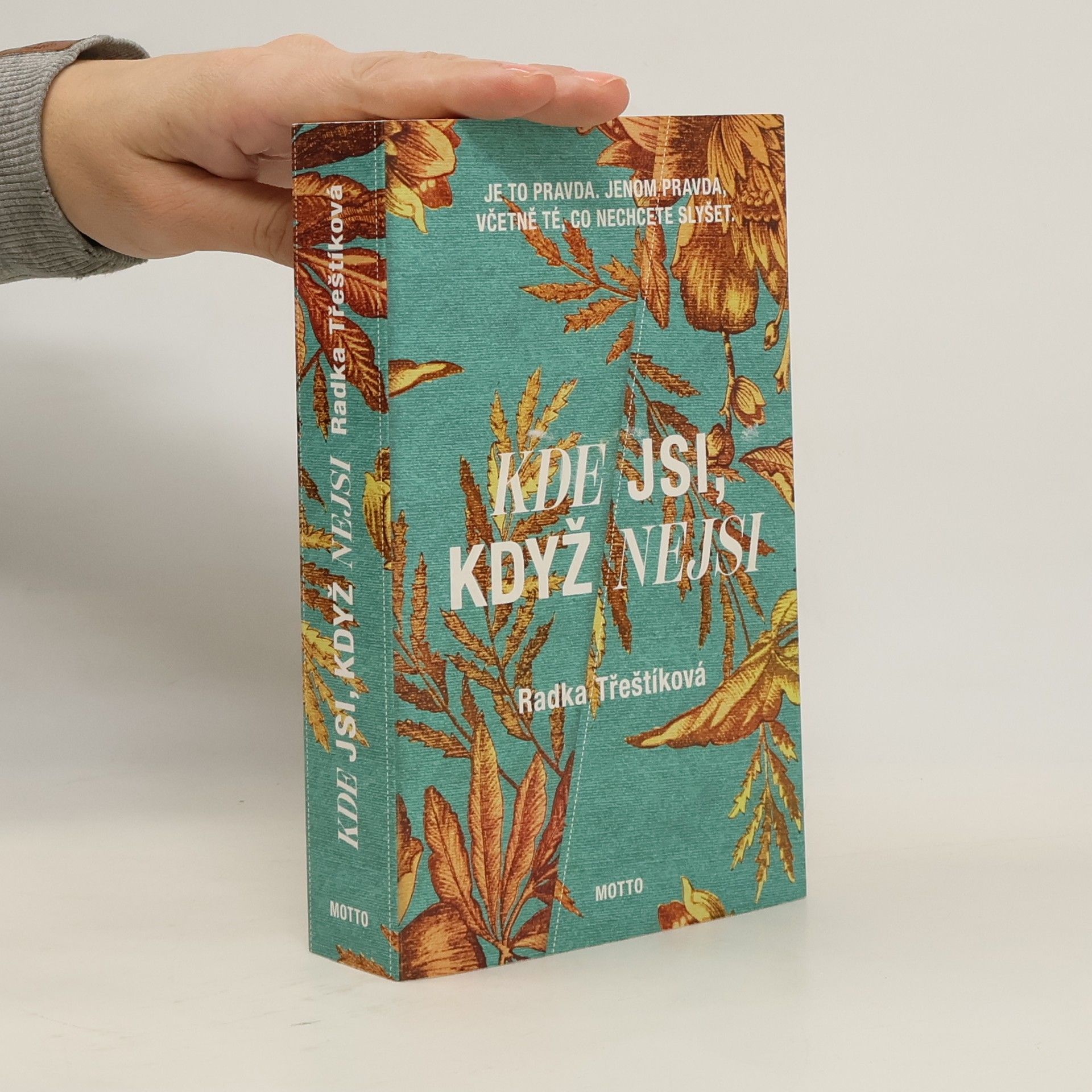 Radka Třeštíková Kde jsi, když nejsi