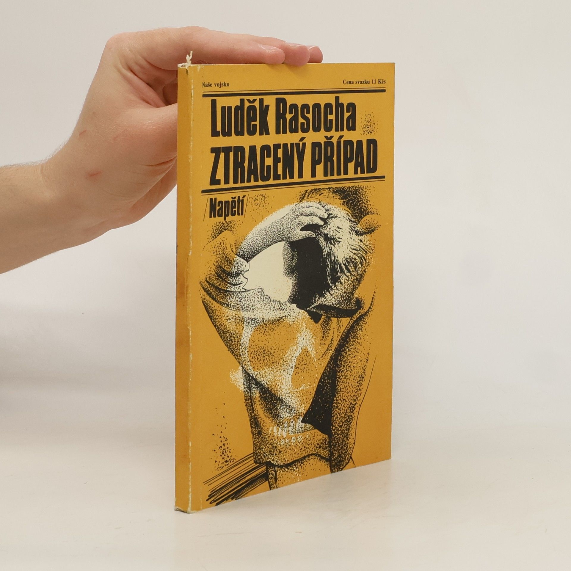 Luděk Rasocha Ztracený případ