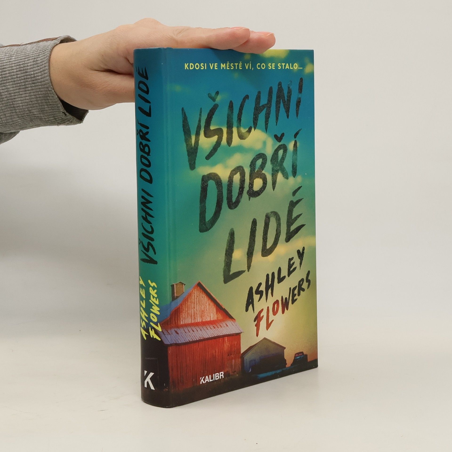 Ashley Flowers Všichni dobří lidé