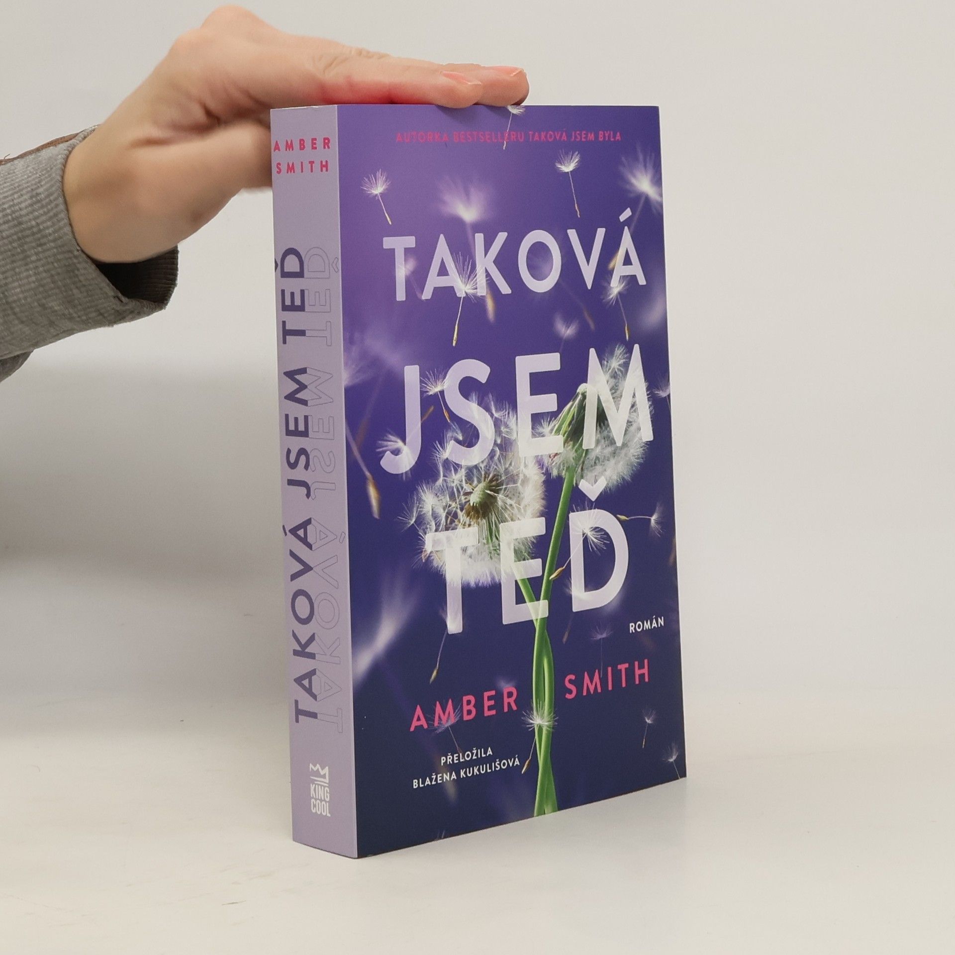 Amber Smith Taková jsem teď