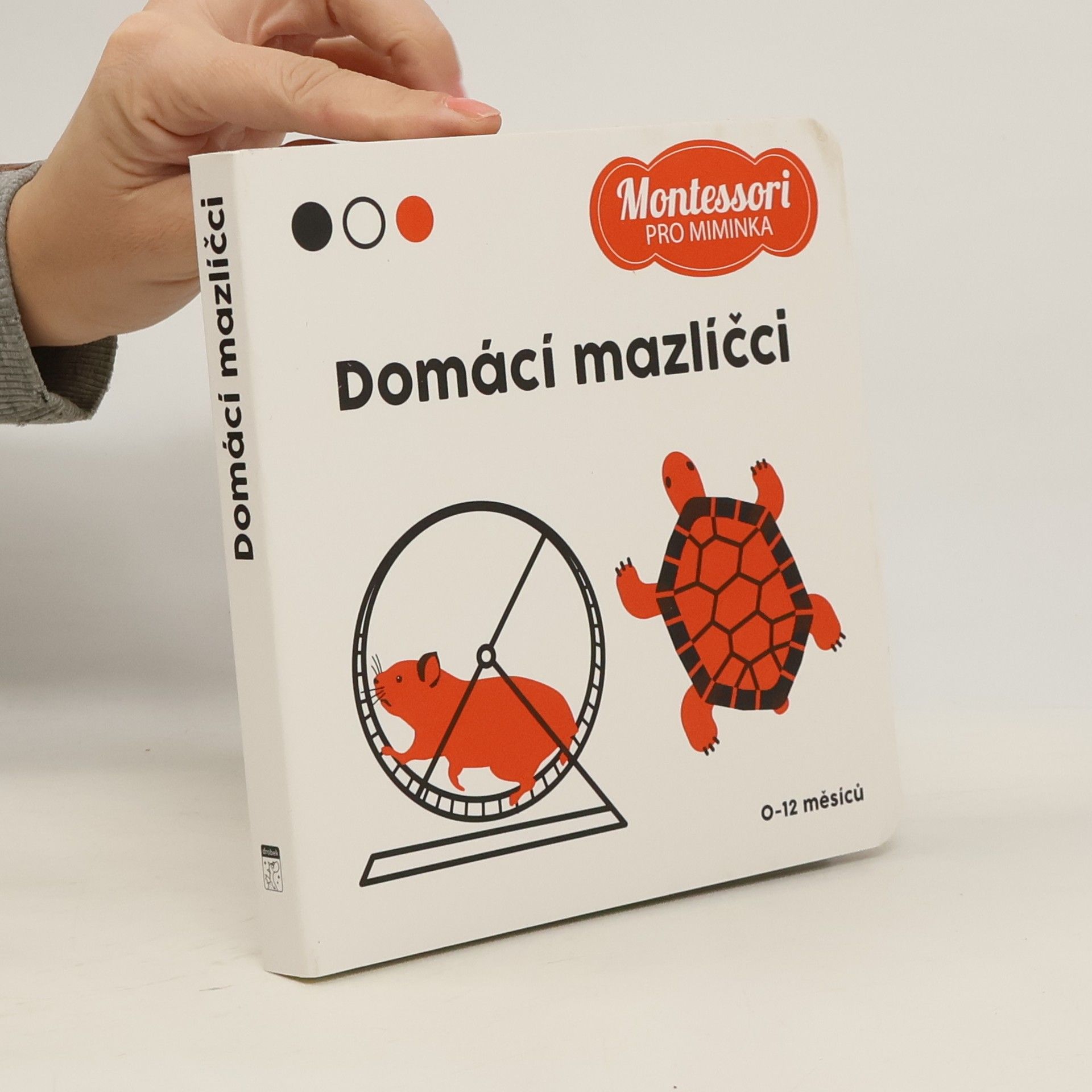 Kolektiv autorů Domácí mazlíčci