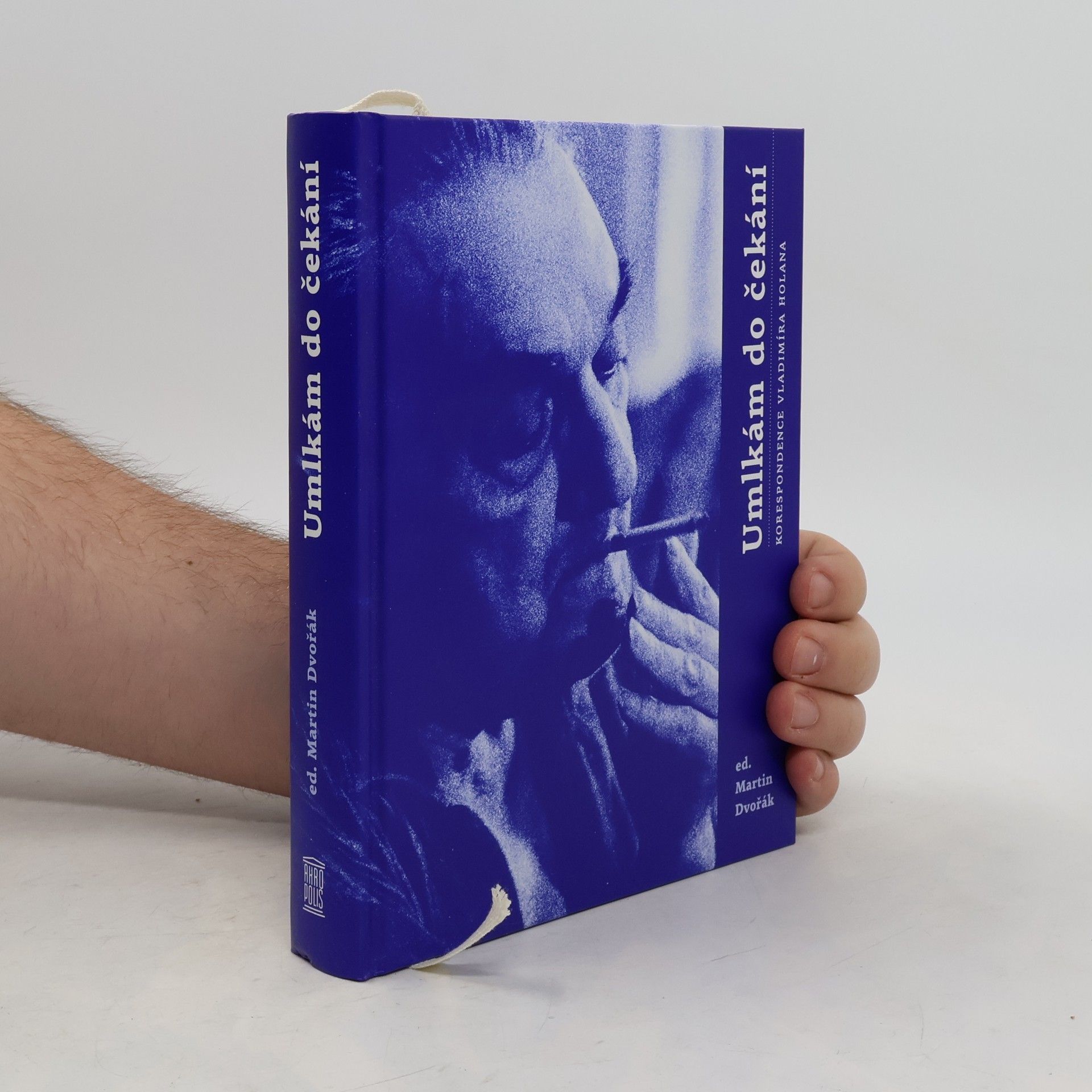 Vladimír Holan Umlkám do čekání: Korespondence Vladimíra Holana