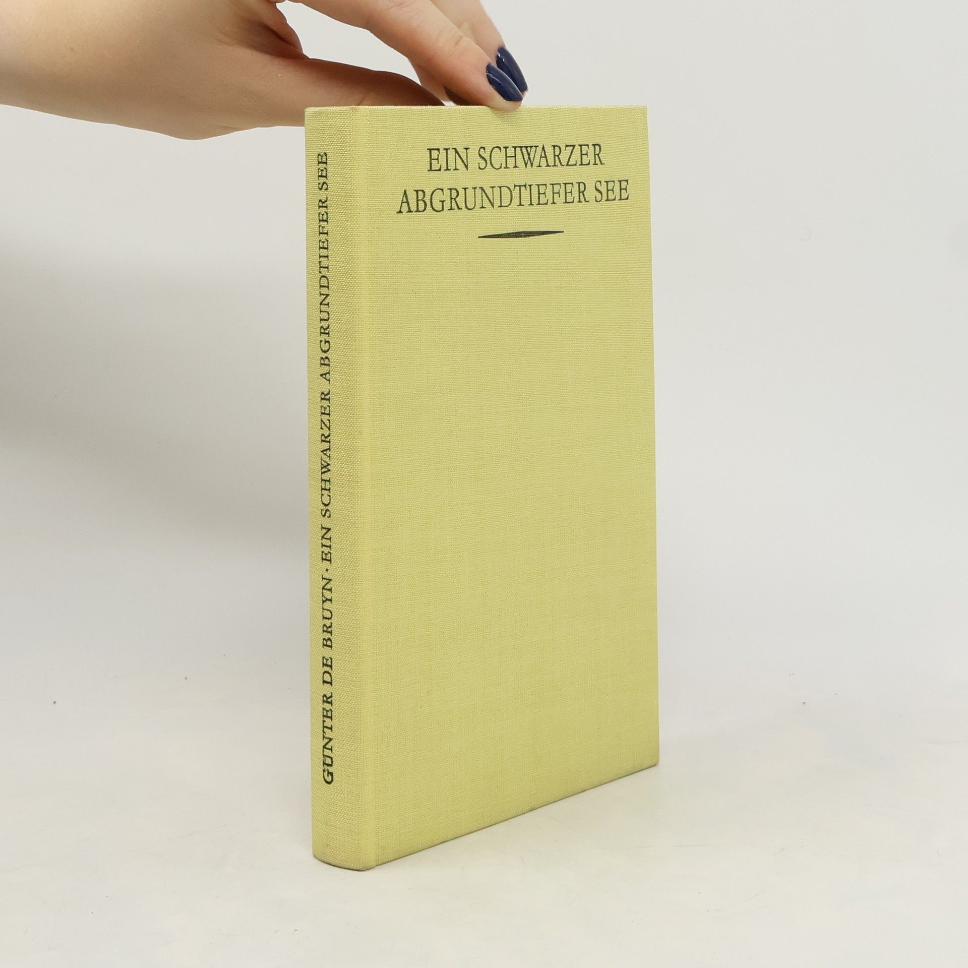 Günter de Bruyn Ein schwarzer, abgrundtiefer See
