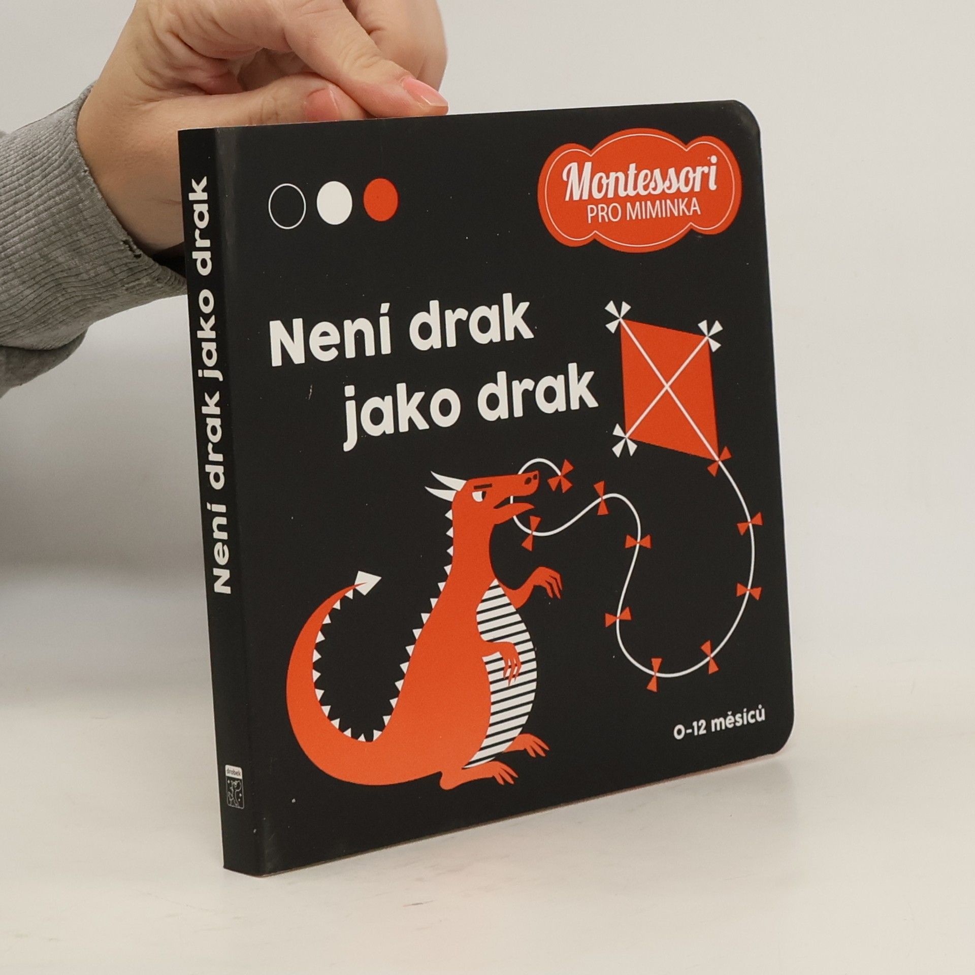 Kolektív autorov Není drak jako drak