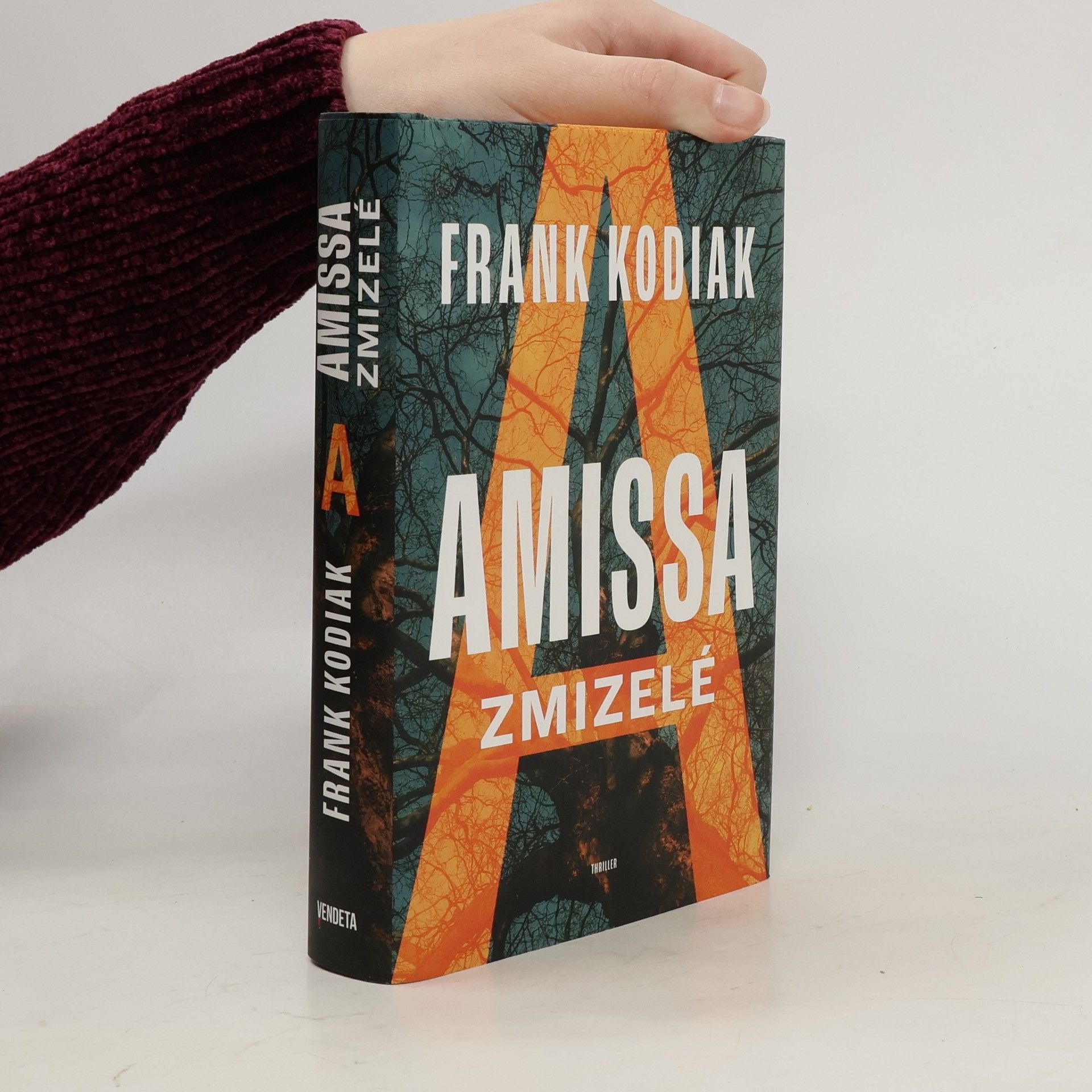 Hendrik Winter Amissa. Zmizelé