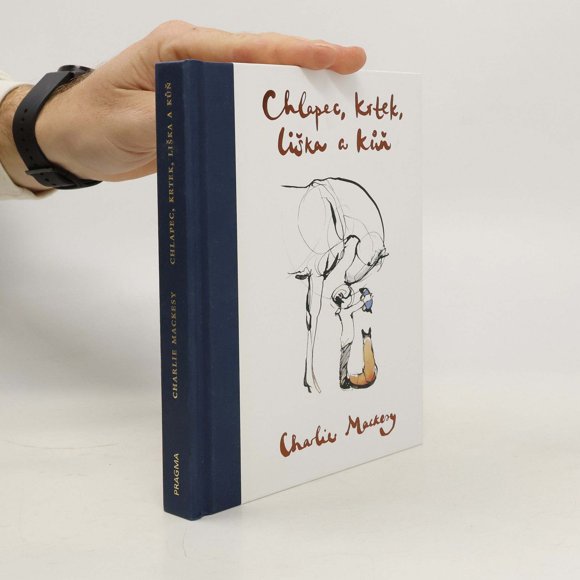 Charlie Mackesy Chlapec, krtek, liška a kůň