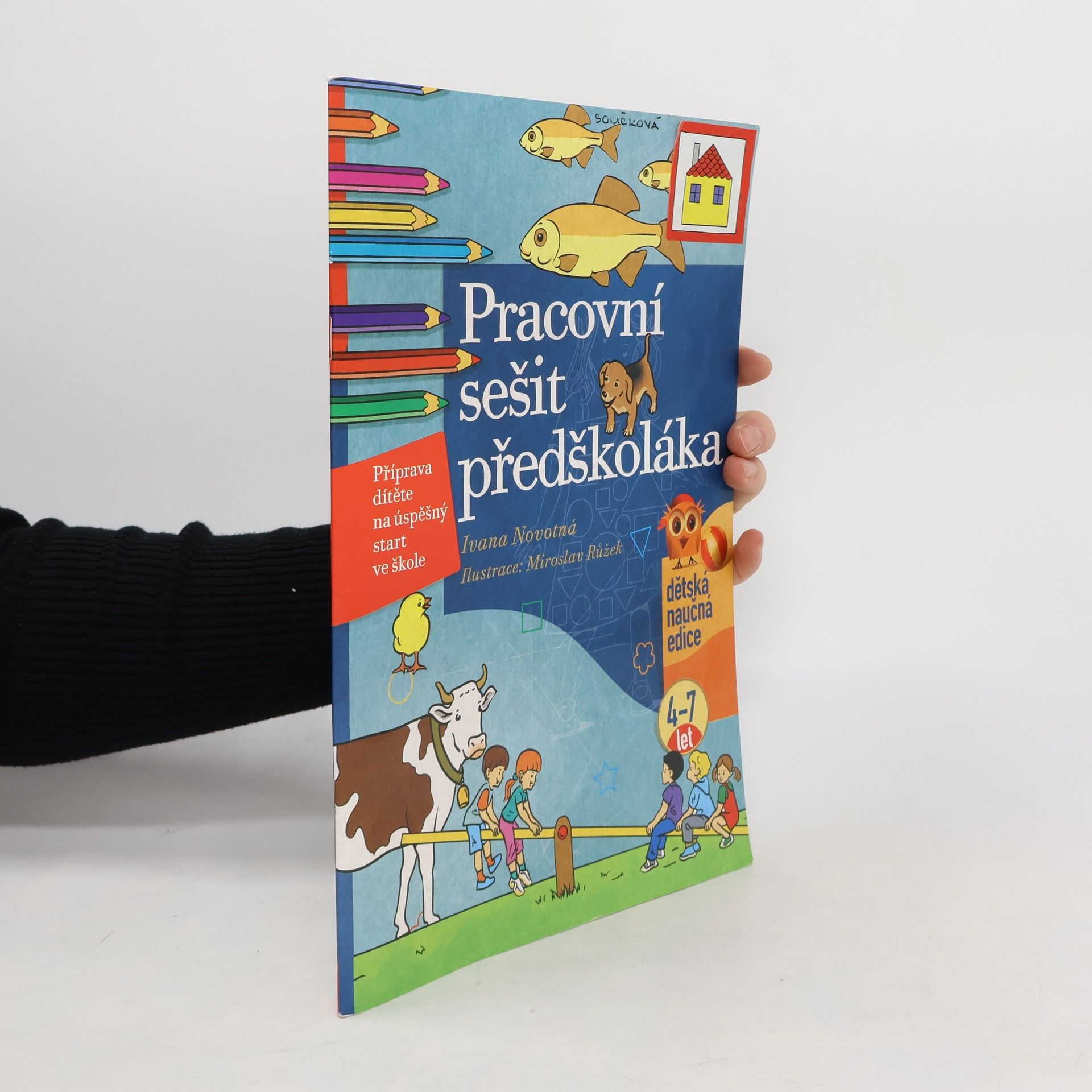 Ivana Novotná Pracovní sešit předškoláka