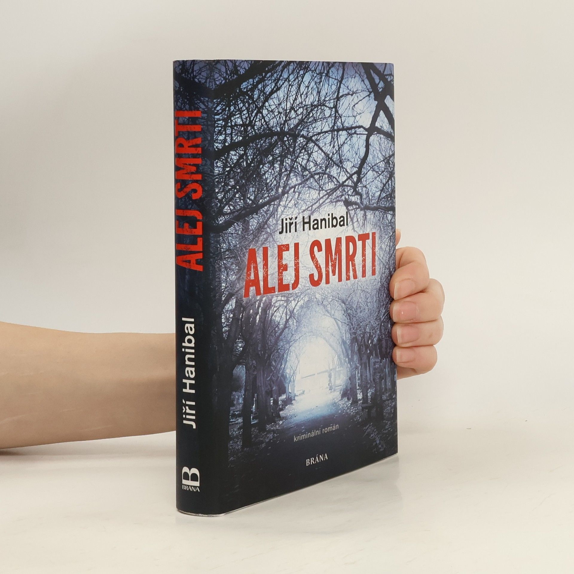 Jiří Hanibal Alej smrti